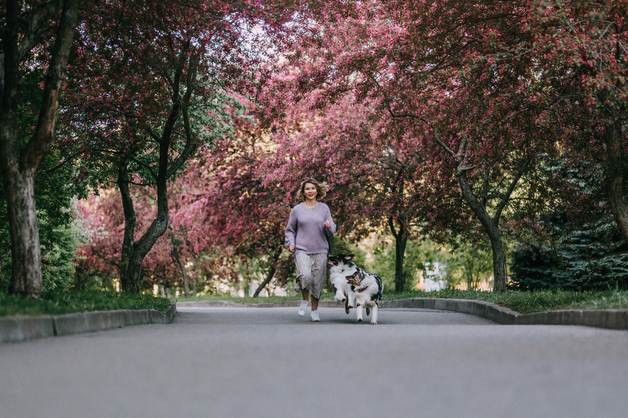 Анна, Чарли и Ева. Фотограф-анималист Елена Радченко, Москва