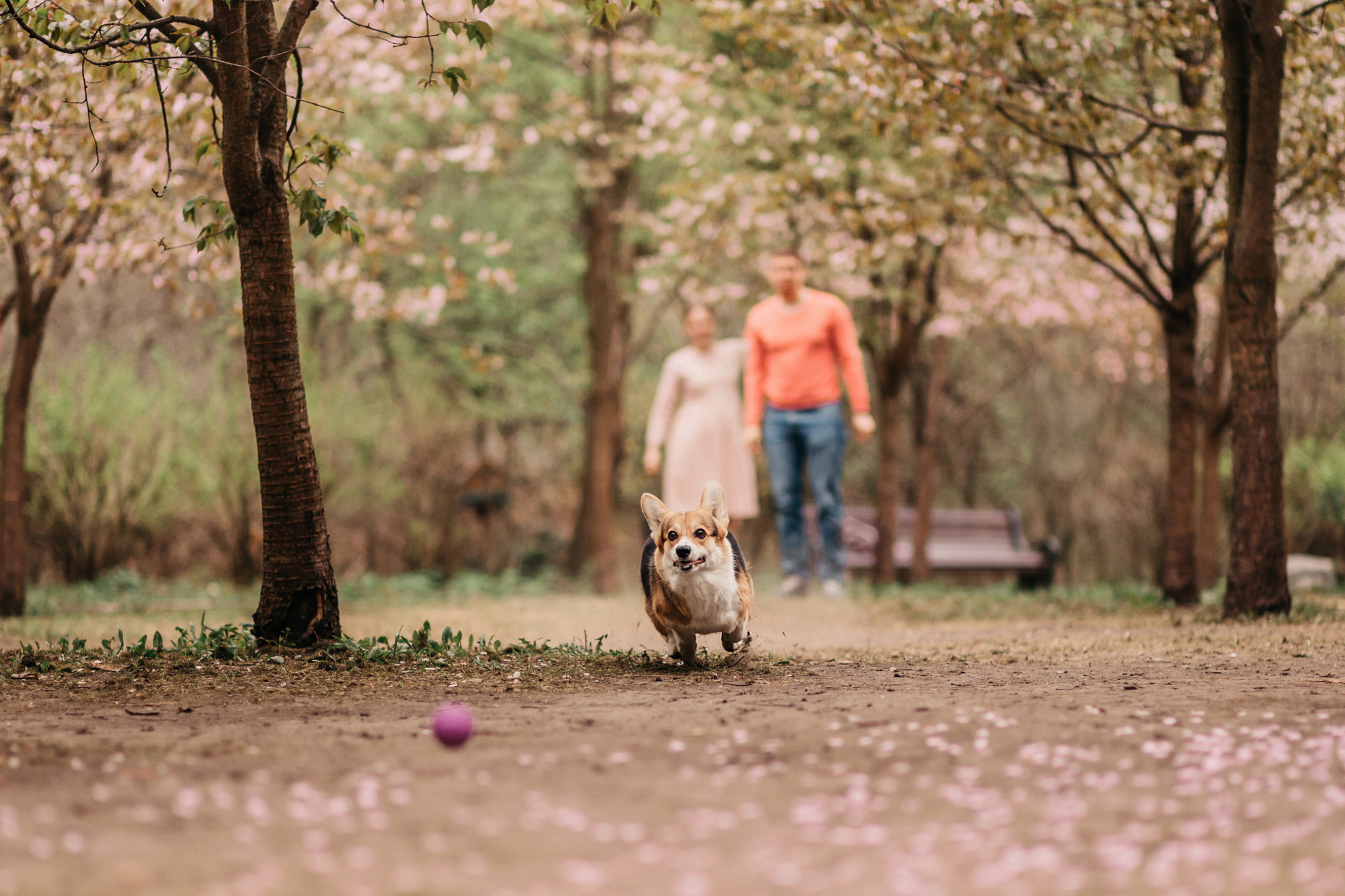 Анна, Рустам и Габи. Фотограф-анималист Елена Радченко, Москва