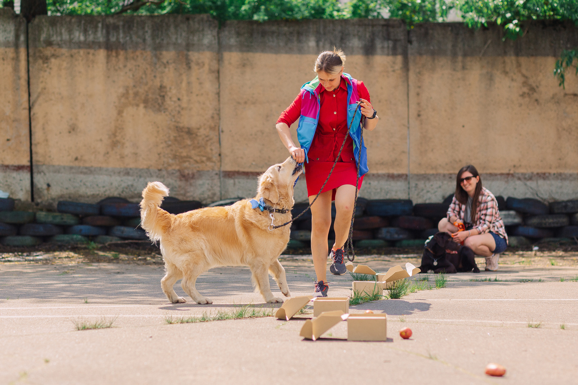 Дог-туса. Фотограф-анималист Елена Радченко, Москва