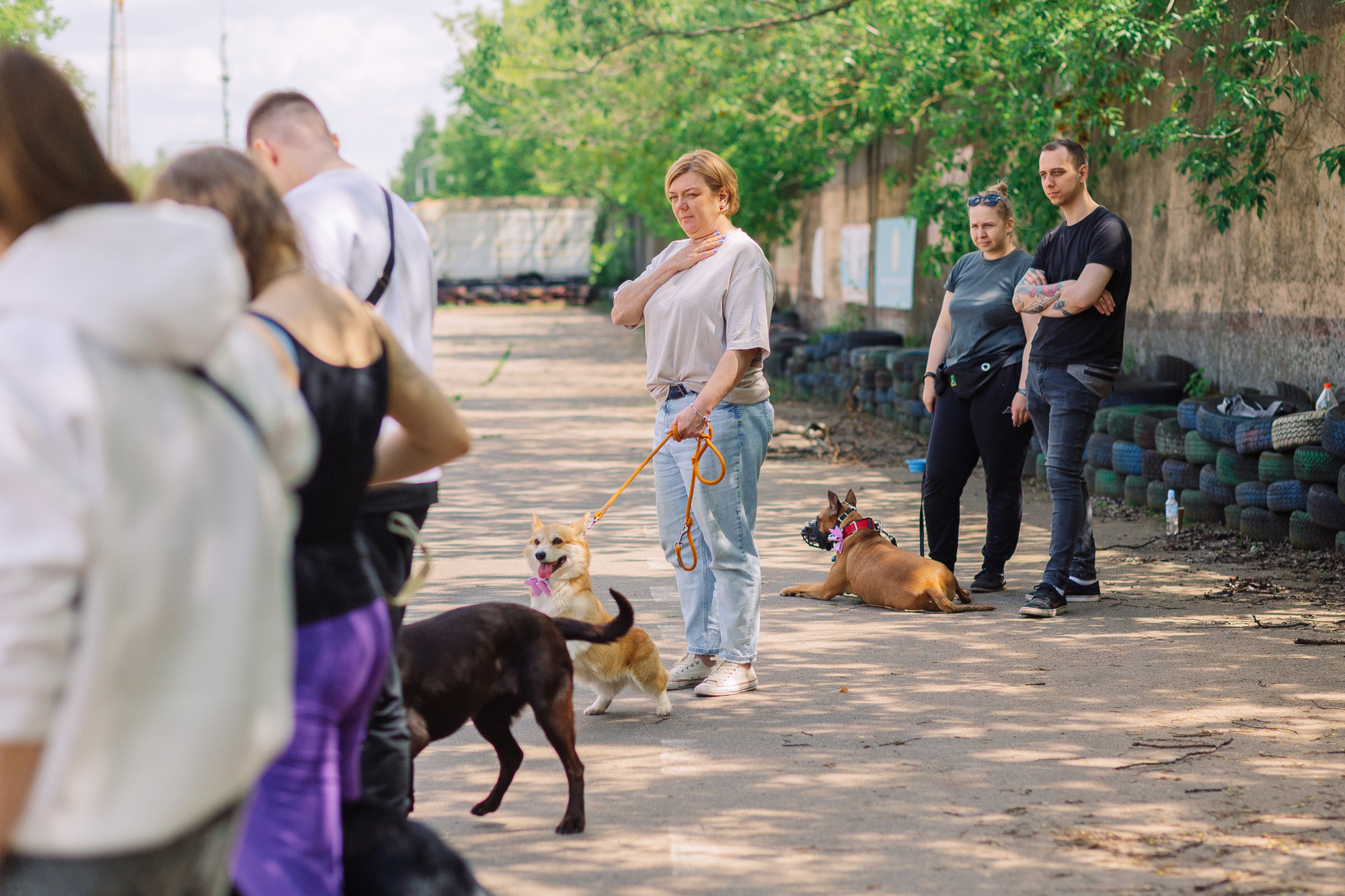 Дог-туса. Фотограф-анималист Елена Радченко, Москва