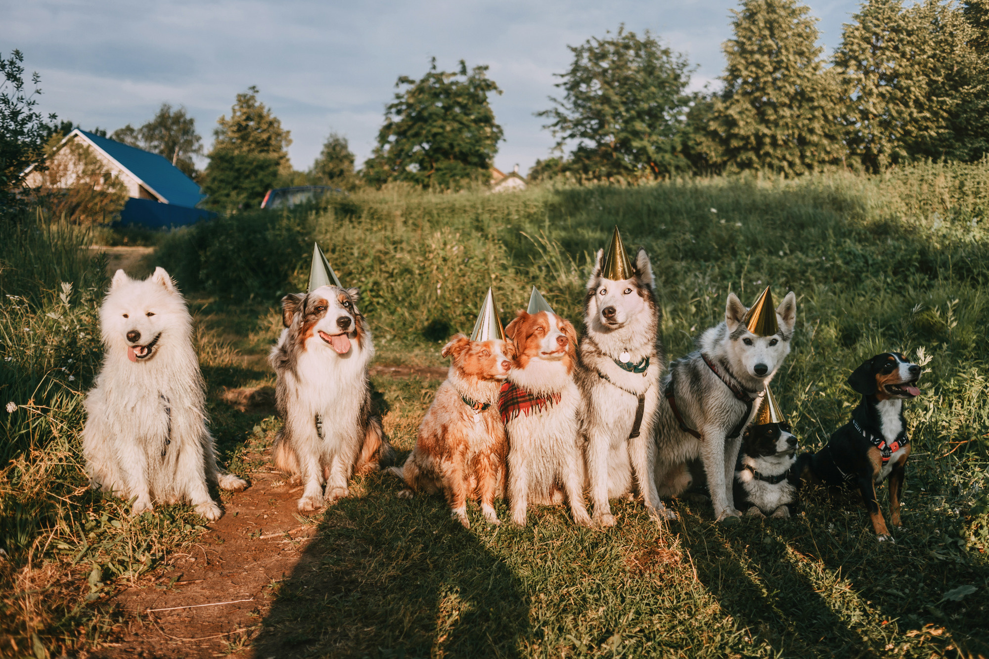 День рождения Морошки. Фотограф-анималист Елена Радченко, Москва