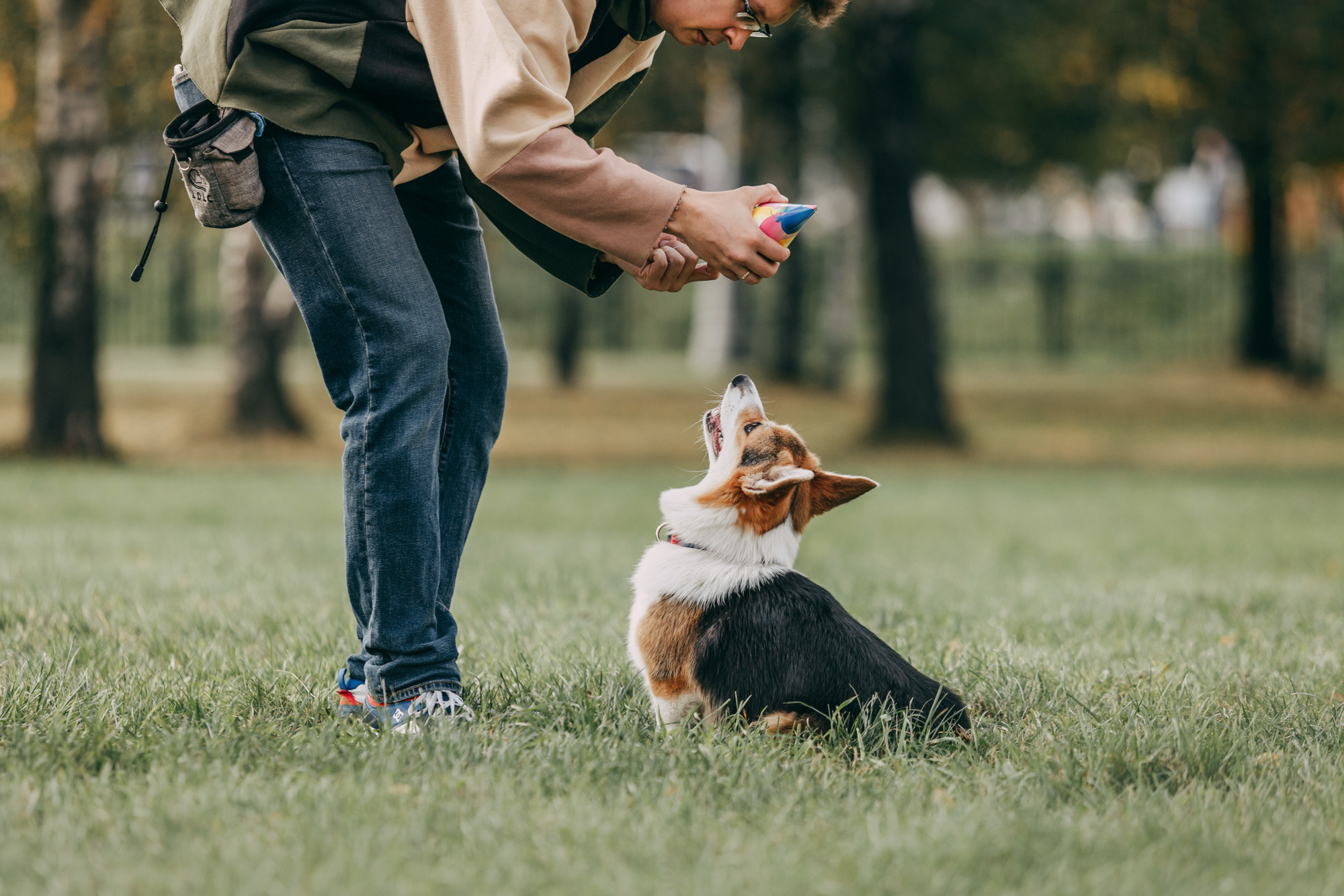 День рождения Габи. Фотограф-анималист Елена Радченко, Москва