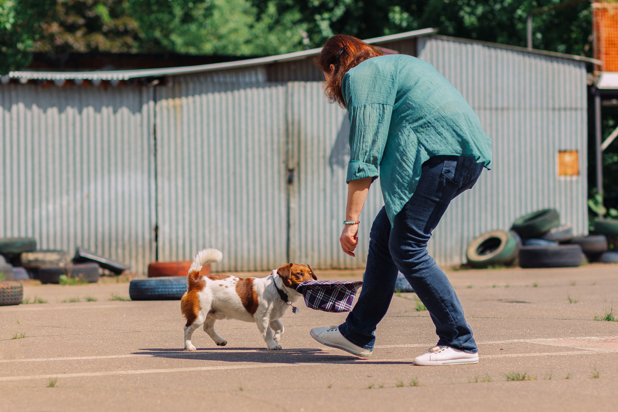 Дог-туса. Фотограф-анималист Елена Радченко, Москва