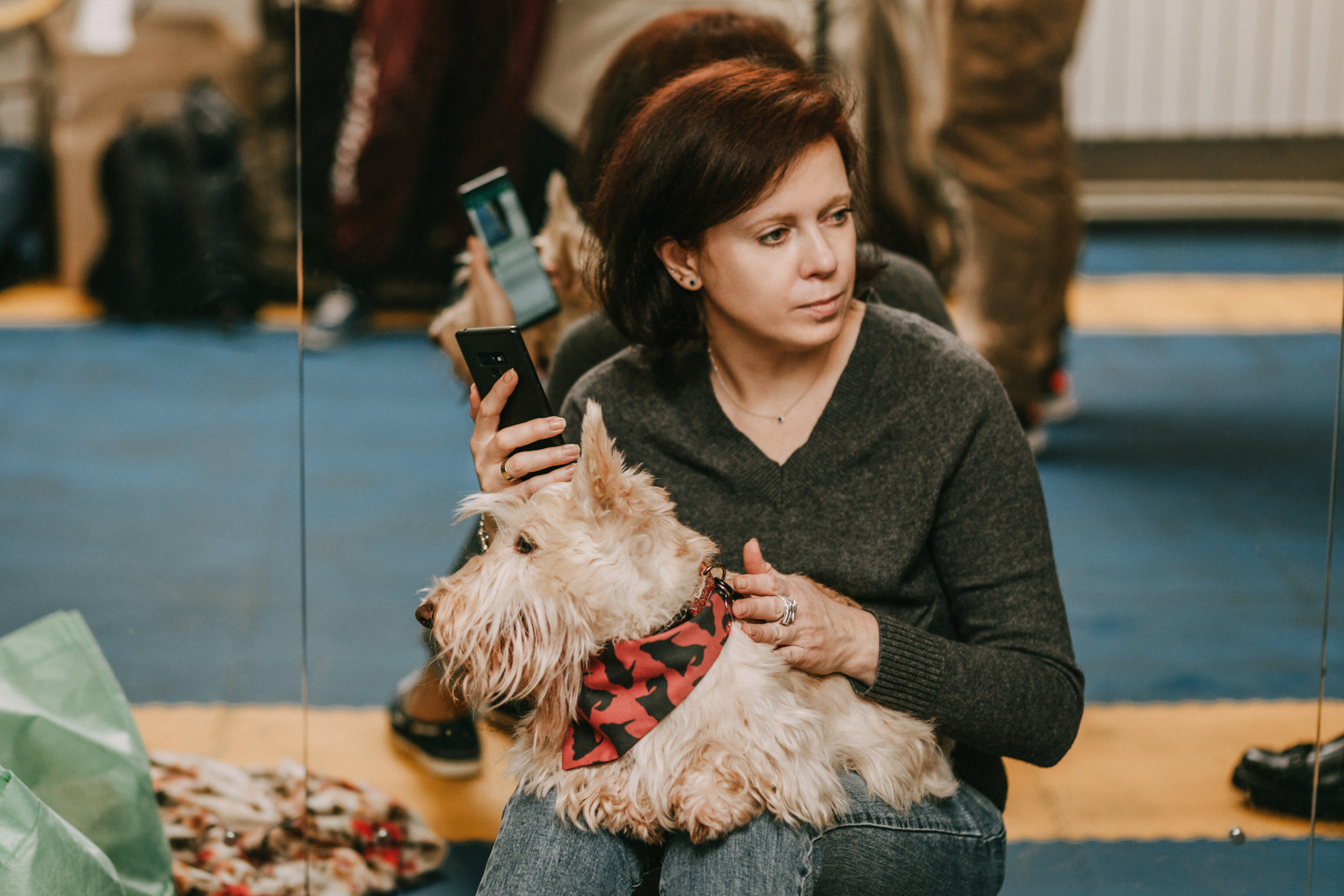 Собачий Новый год. Фотограф-анималист Елена Радченко, Москва