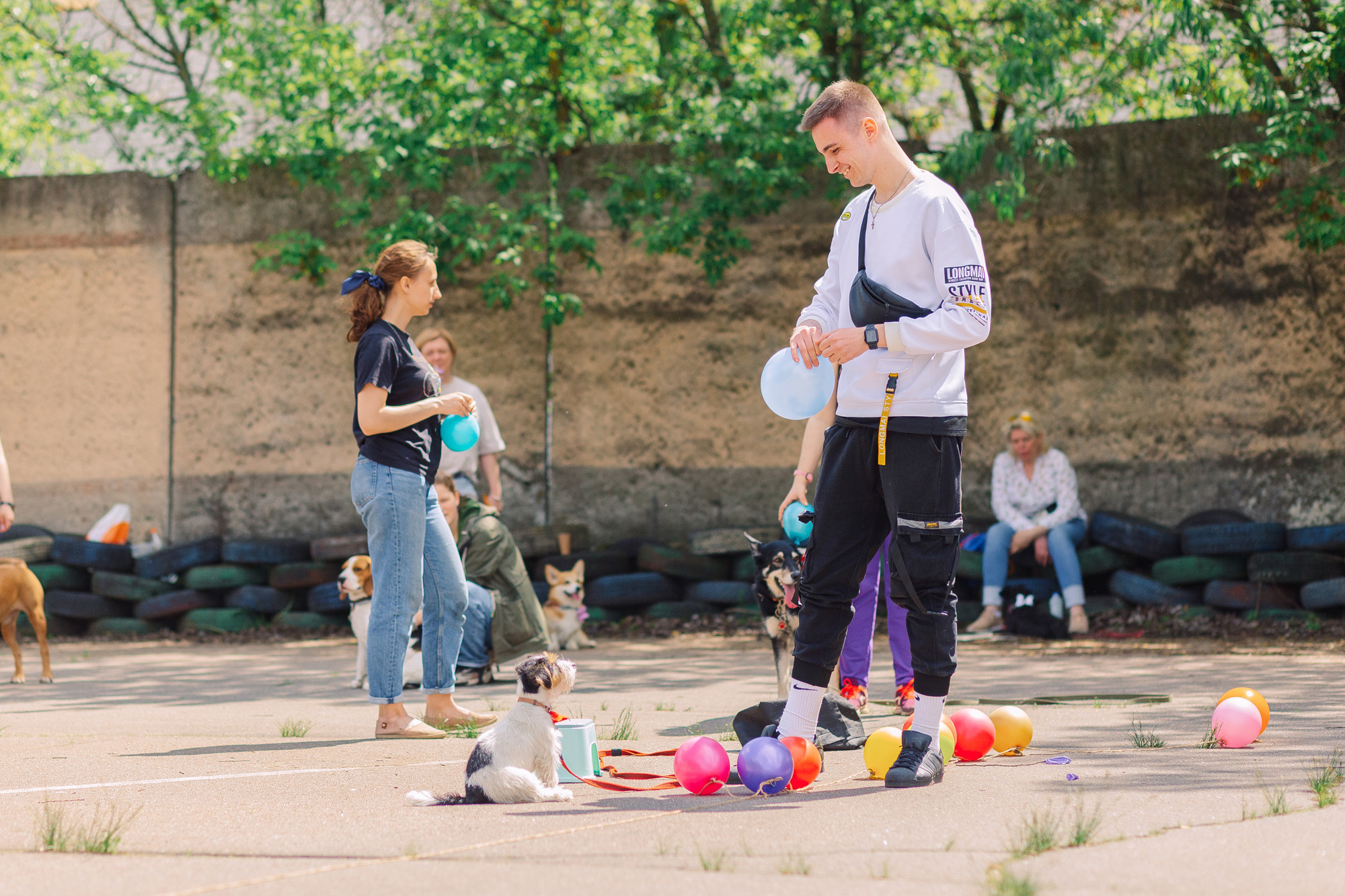 Дог-туса. Фотограф-анималист Елена Радченко, Москва