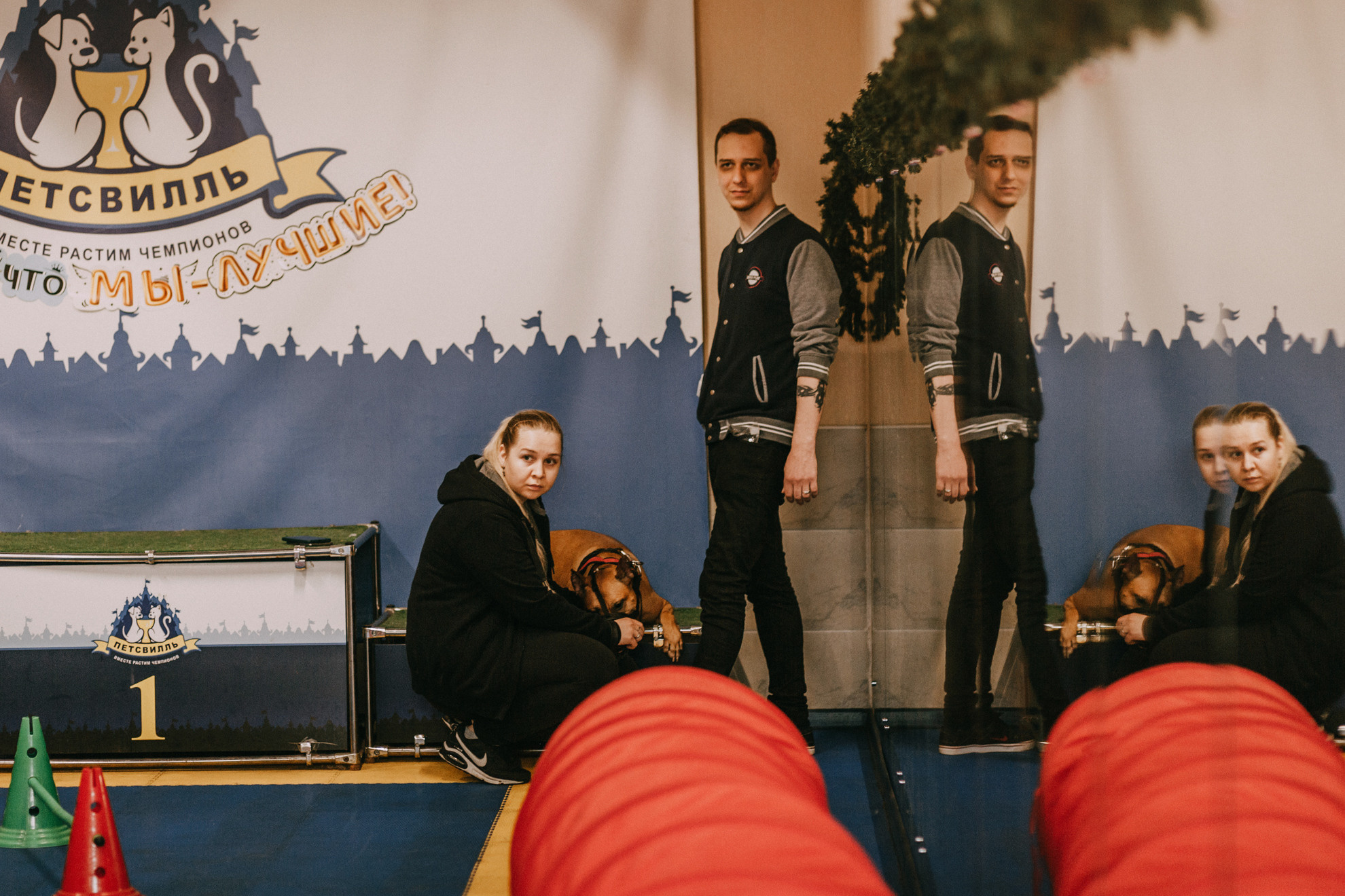 Собачий Новый год. Фотограф-анималист Елена Радченко, Москва