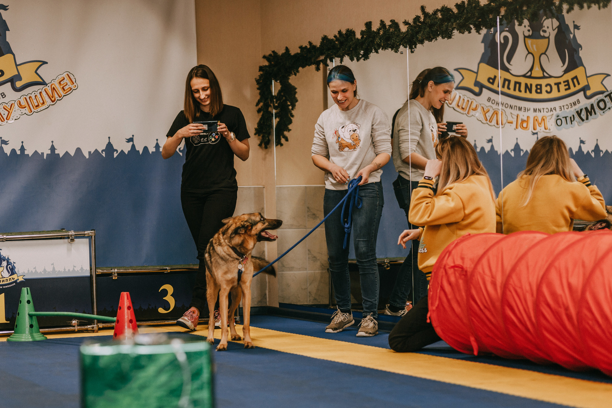Собачий Новый год. Фотограф-анималист Елена Радченко, Москва
