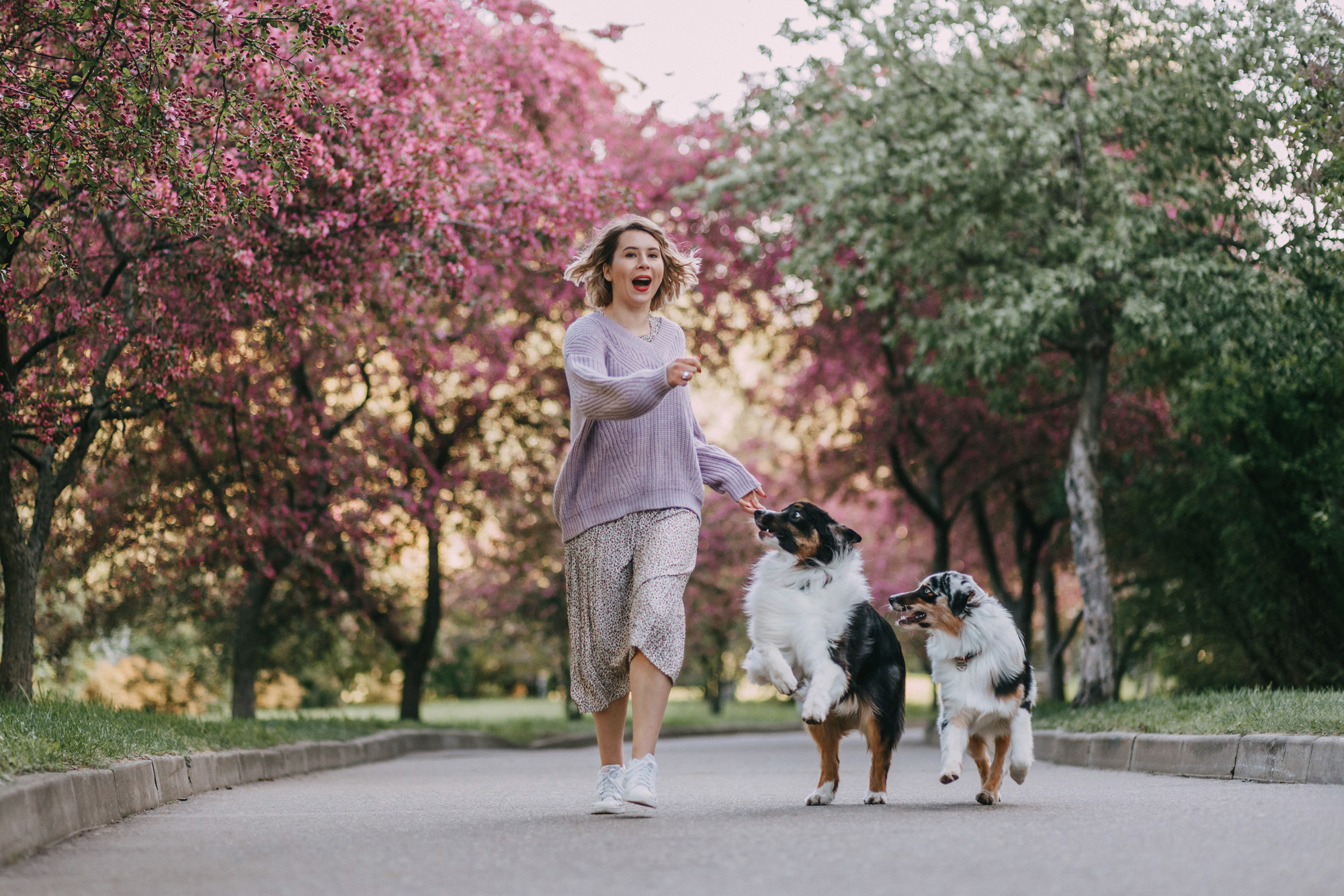 Анна, Чарли и Ева. Фотограф-анималист Елена Радченко, Москва