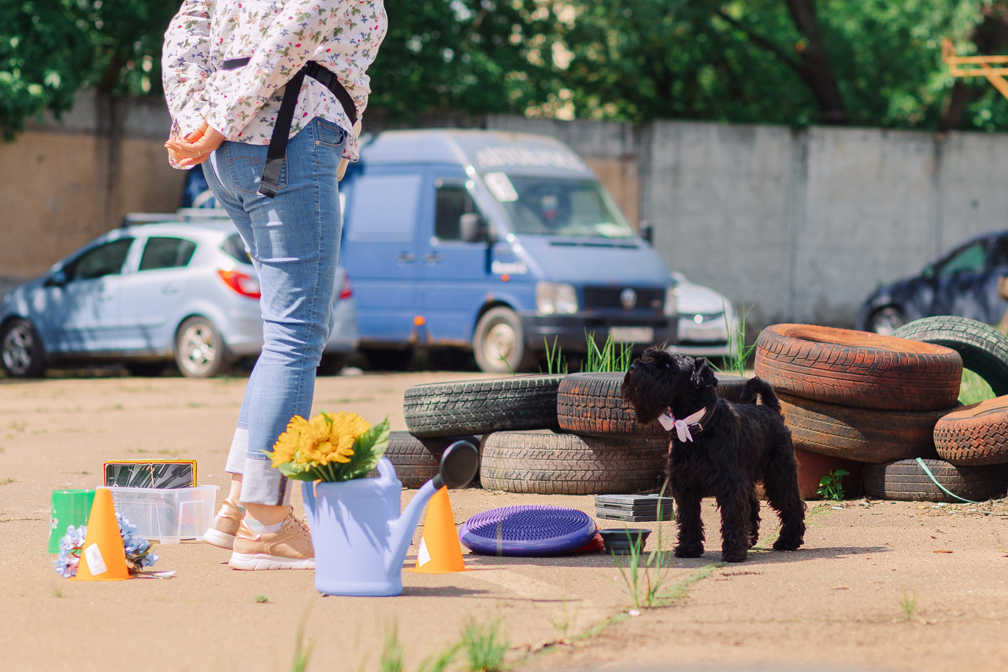 Дог-туса. Фотограф-анималист Елена Радченко, Москва
