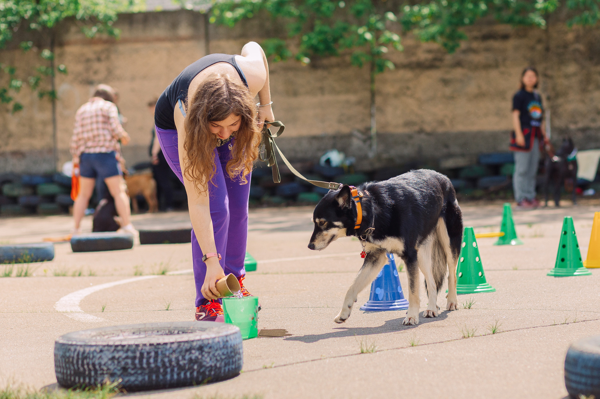 Дог-туса. Фотограф-анималист Елена Радченко, Москва