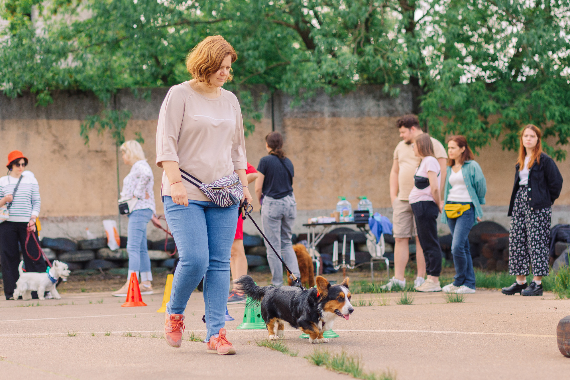 Дог-туса. Фотограф-анималист Елена Радченко, Москва