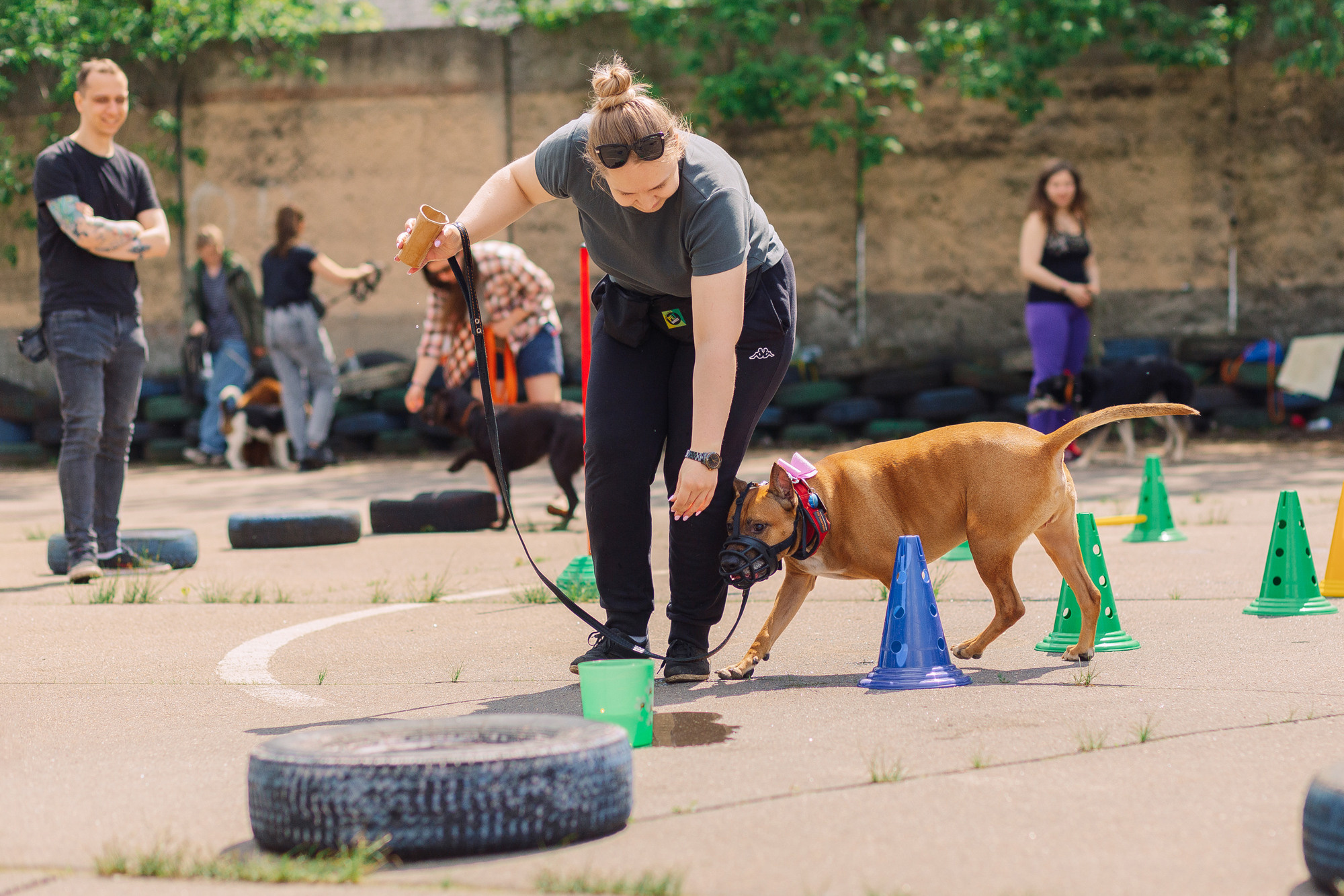 Дог-туса. Фотограф-анималист Елена Радченко, Москва
