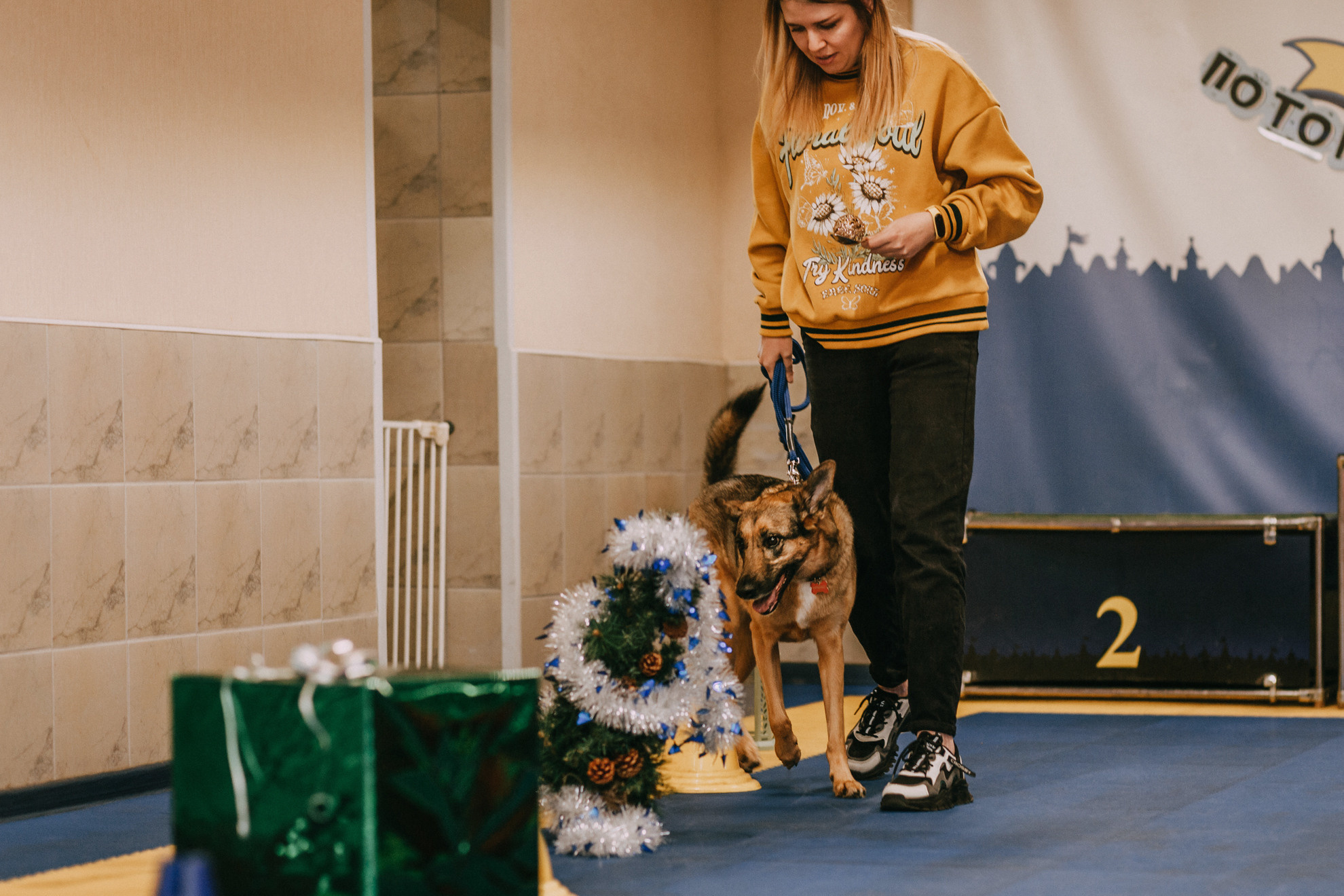 Собачий Новый год. Фотограф-анималист Елена Радченко, Москва