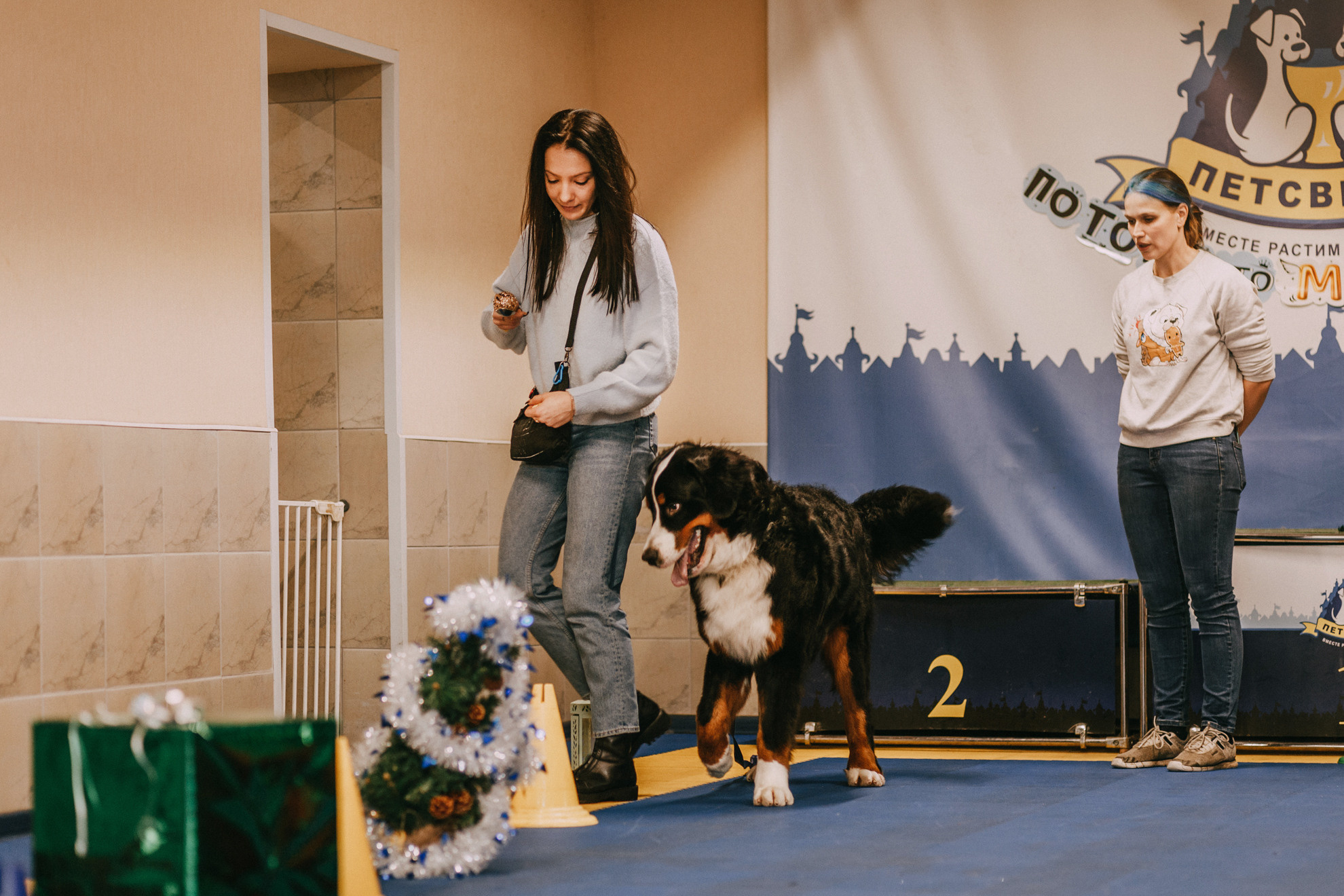 Собачий Новый год. Фотограф-анималист Елена Радченко, Москва