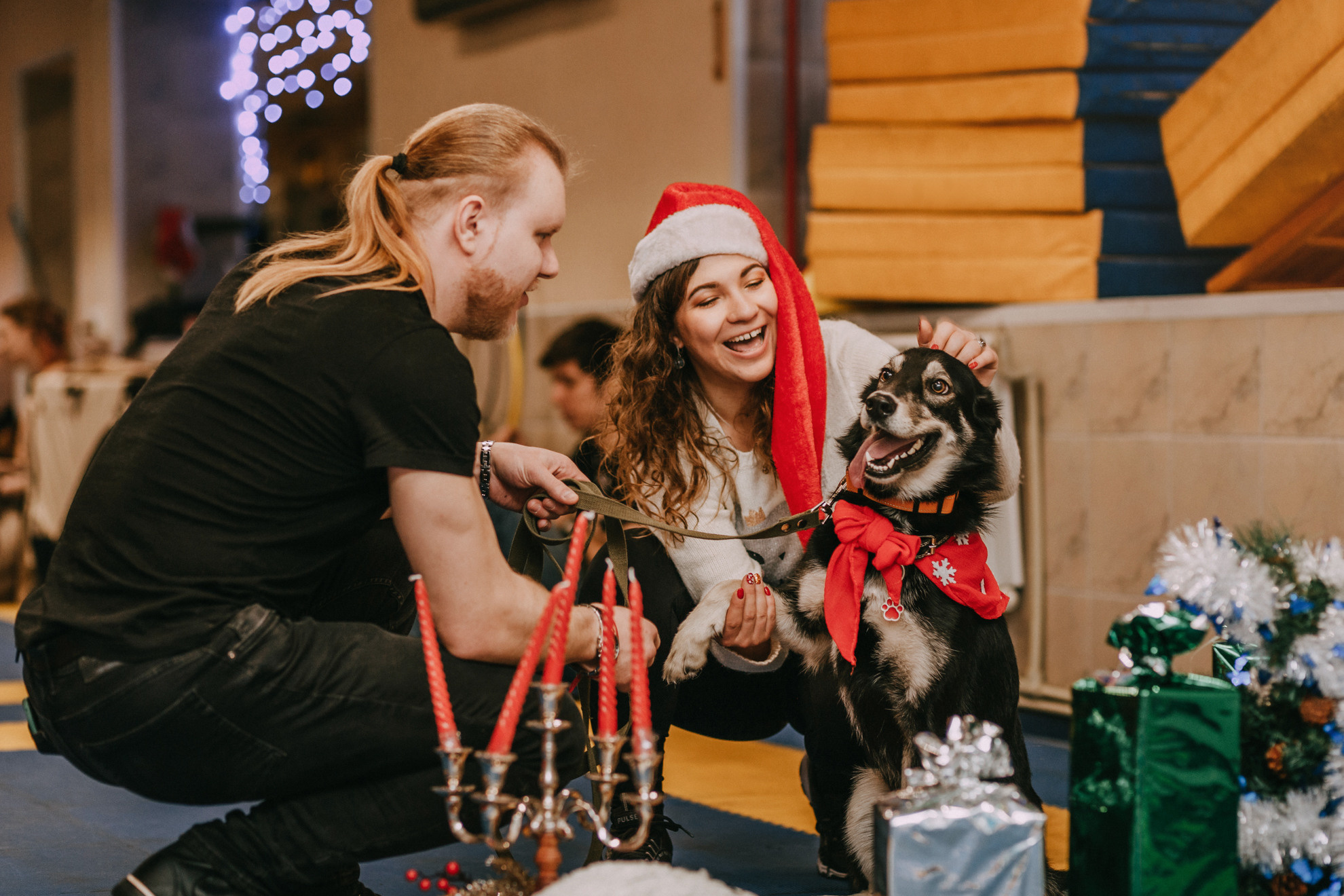 Собачий Новый год. Фотограф-анималист Елена Радченко, Москва