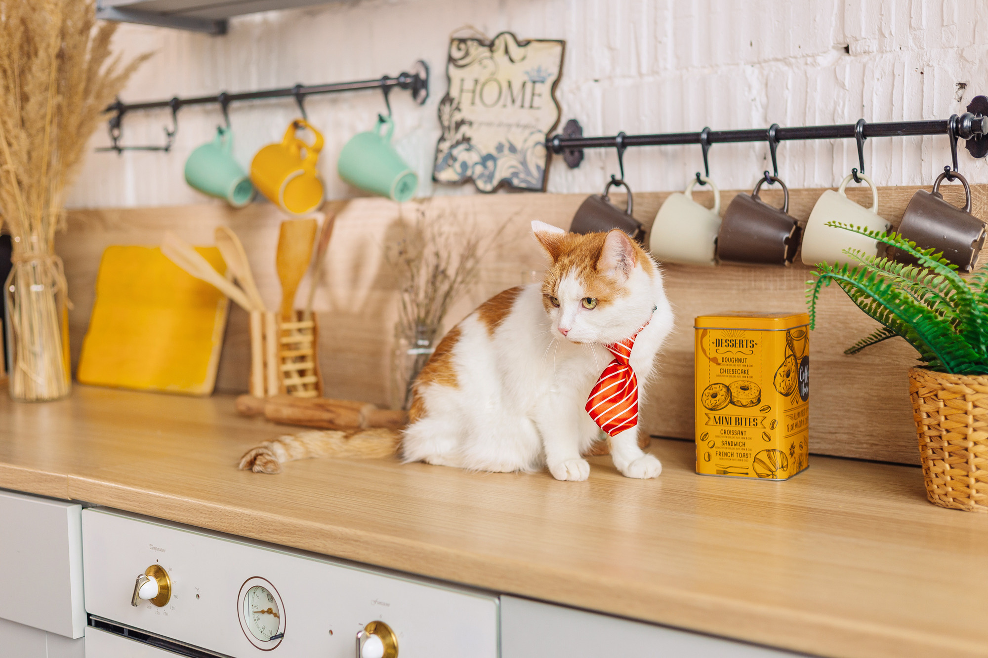 Магазин Friend of mine. Фотограф-анималист Елена Радченко, Москва