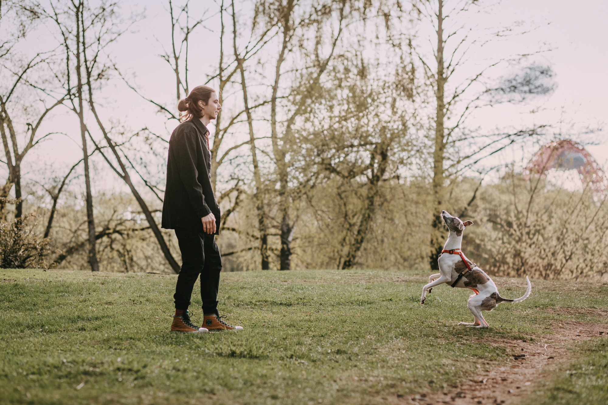 Соня, Максим, Данте и Ланя. Фотограф-анималист Елена Радченко, Москва
