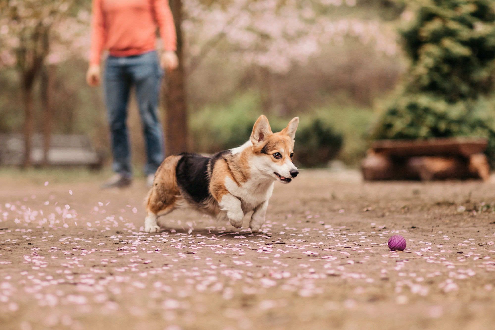 Анна, Рустам и Габи. Фотограф-анималист Елена Радченко, Москва