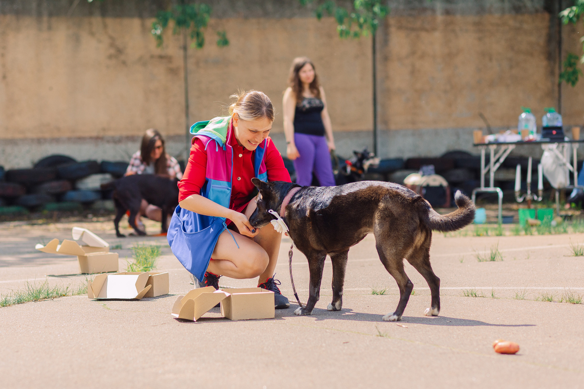 Дог-туса. Фотограф-анималист Елена Радченко, Москва