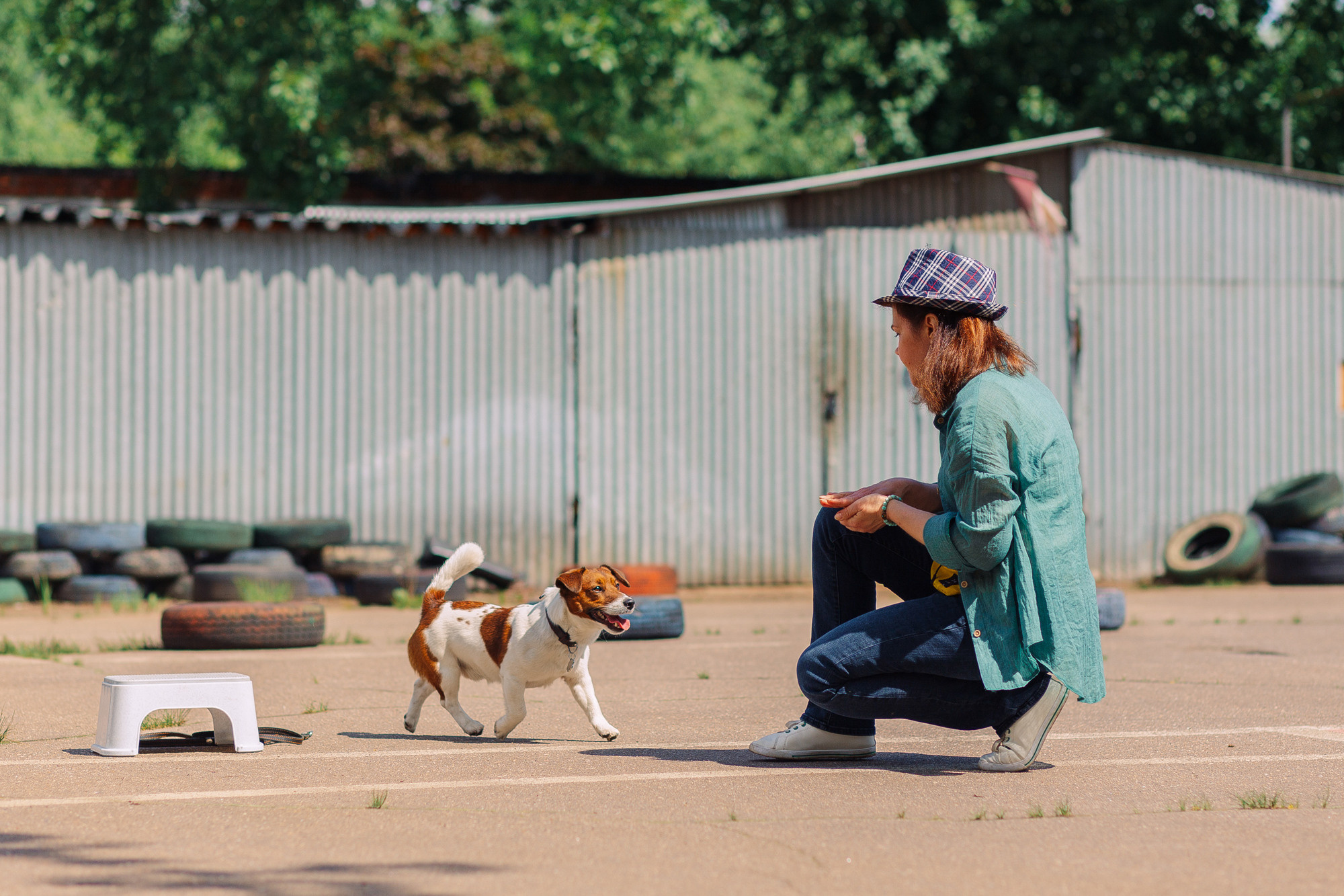Дог-туса. Фотограф-анималист Елена Радченко, Москва