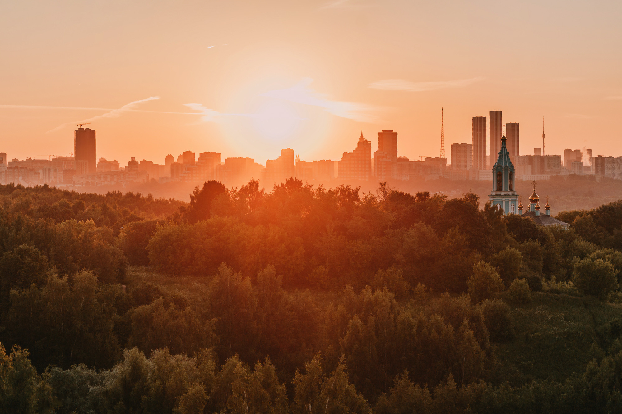 Майя и Снуп. Фотограф-анималист Елена Радченко, Москва