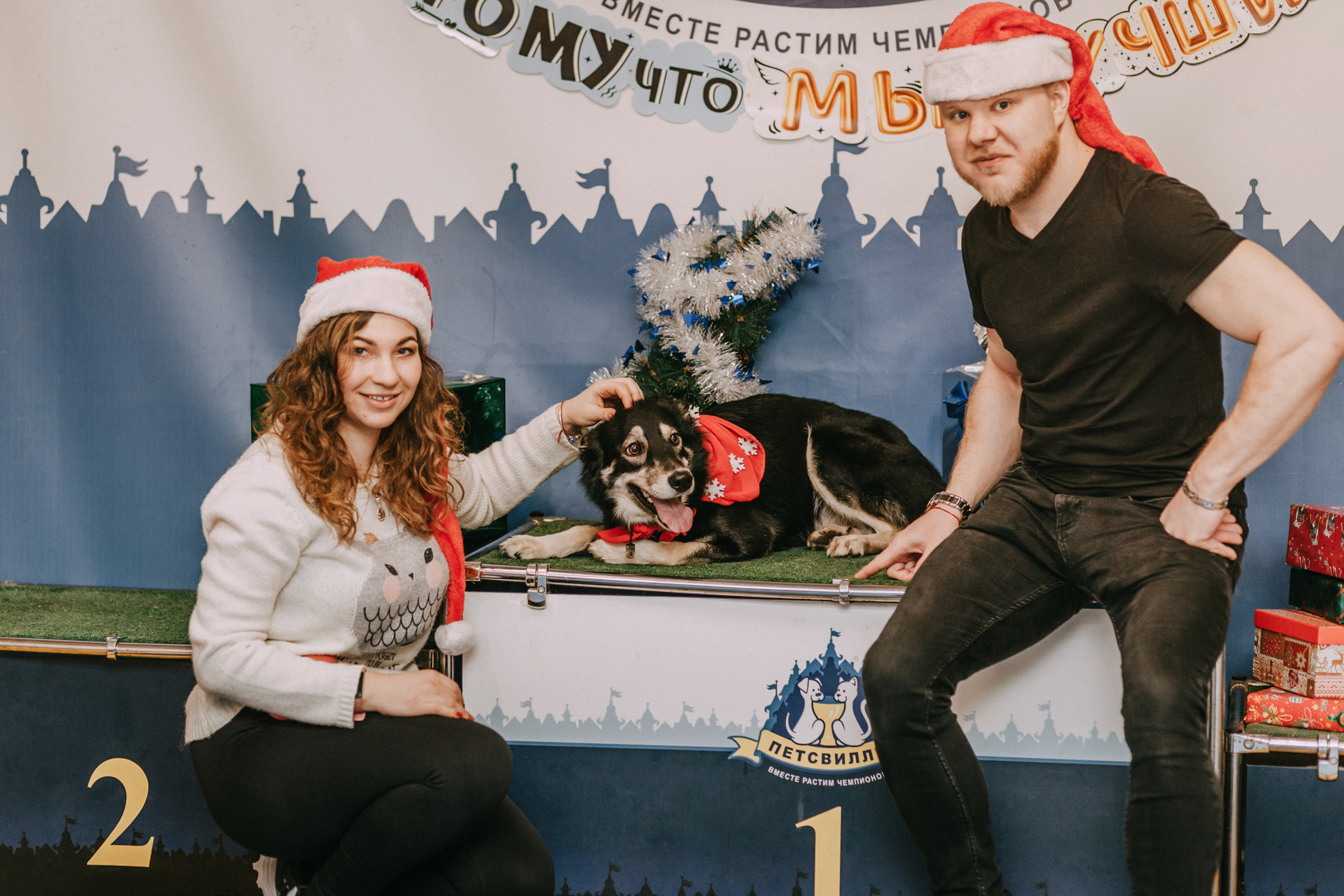 Собачий Новый год. Фотограф-анималист Елена Радченко, Москва