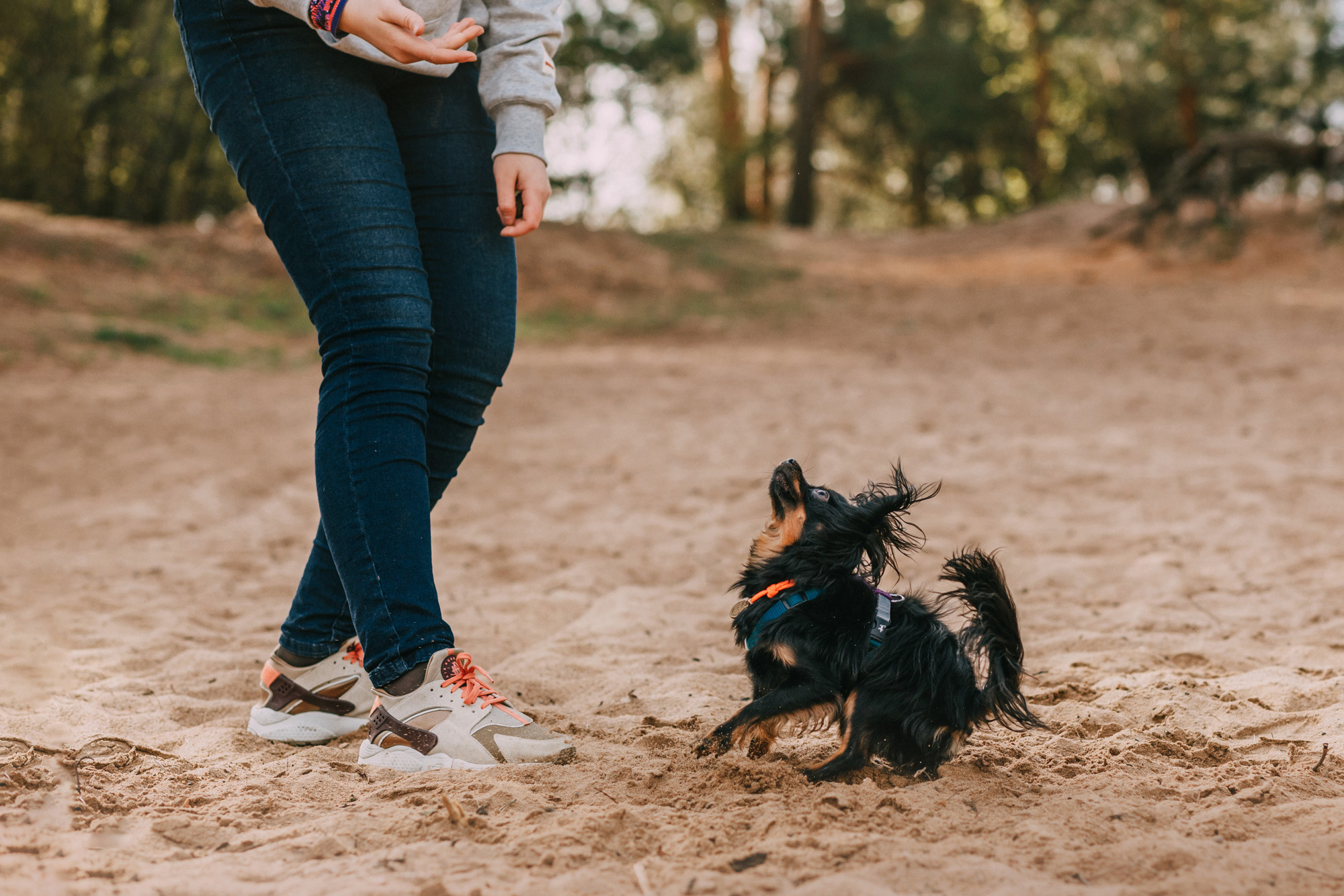 Соня, Максим, Данте и Ланя. Фотограф-анималист Елена Радченко, Москва