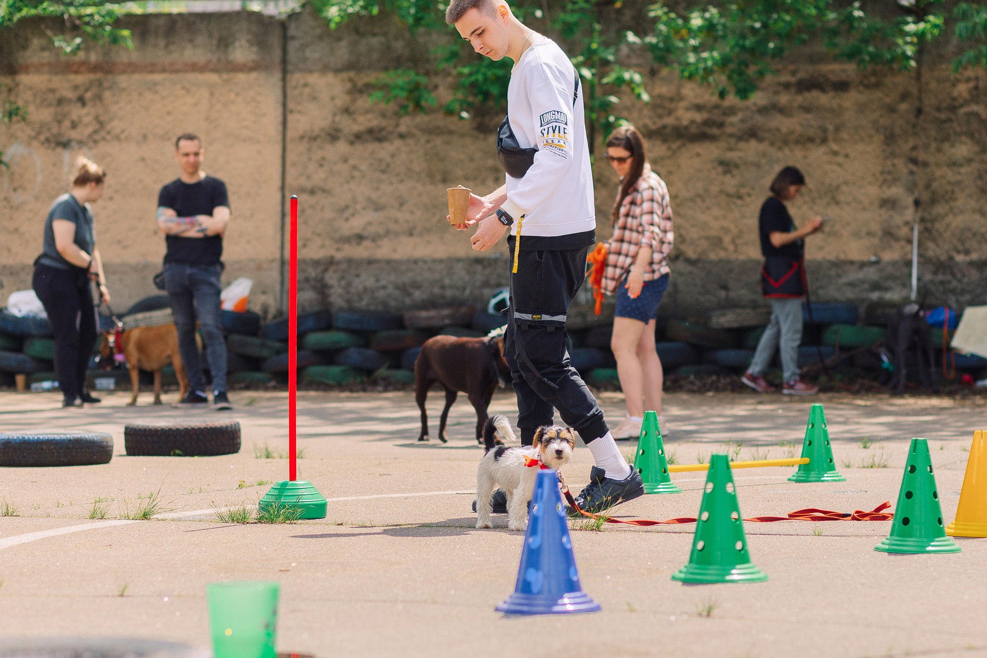Дог-туса. Фотограф-анималист Елена Радченко, Москва