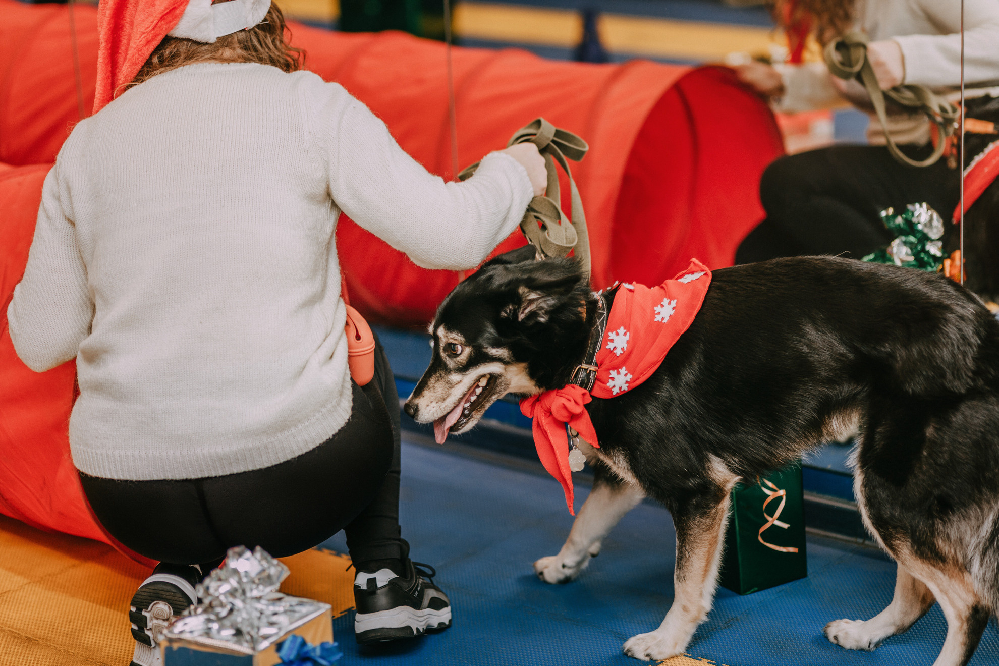 Собачий Новый год. Фотограф-анималист Елена Радченко, Москва