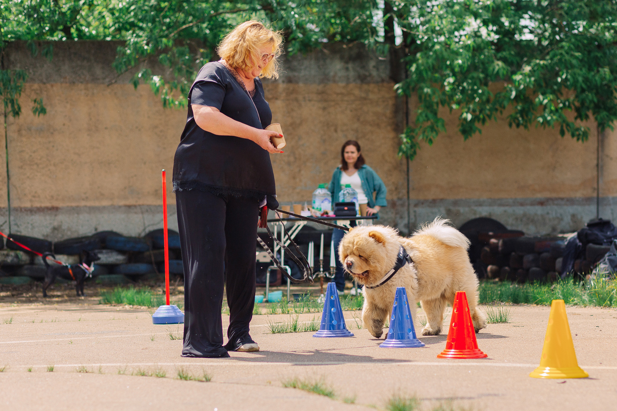Дог-туса. Фотограф-анималист Елена Радченко, Москва