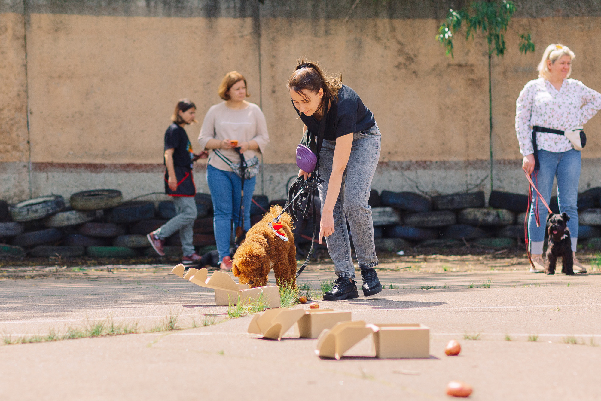 Дог-туса. Фотограф-анималист Елена Радченко, Москва
