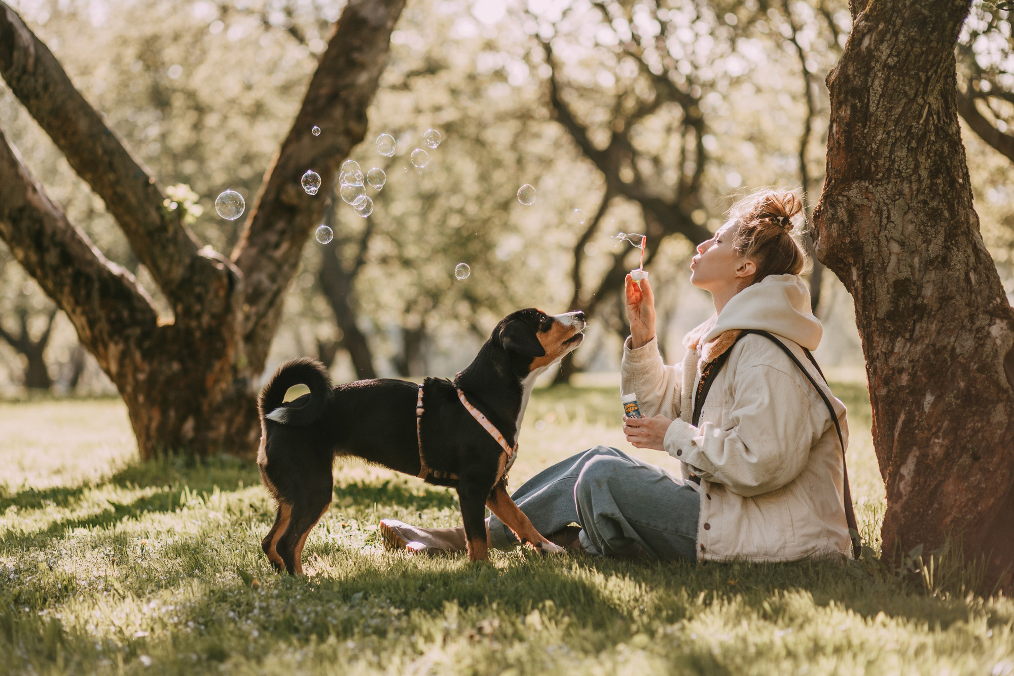 Аня и Вафля. Фотограф-анималист Елена Радченко, Москва