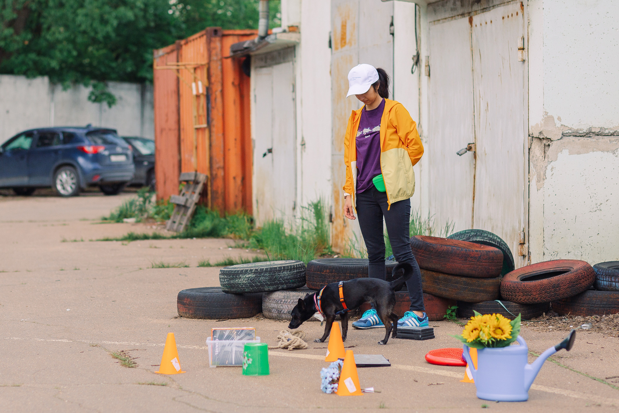 Дог-туса. Фотограф-анималист Елена Радченко, Москва
