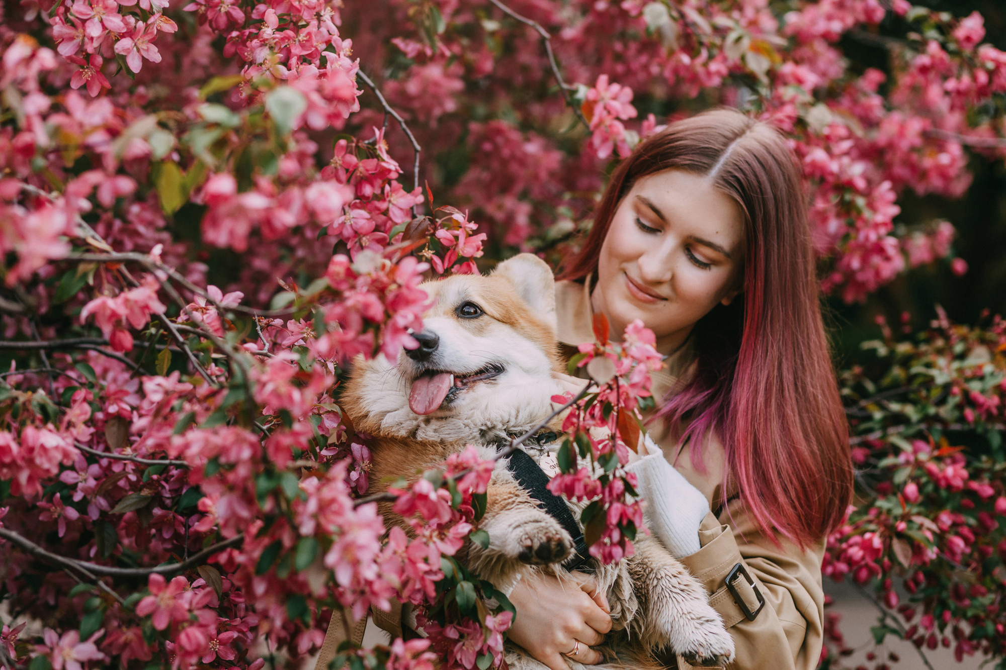 Анна и Филипп. Фотограф-анималист Елена Радченко, Москва