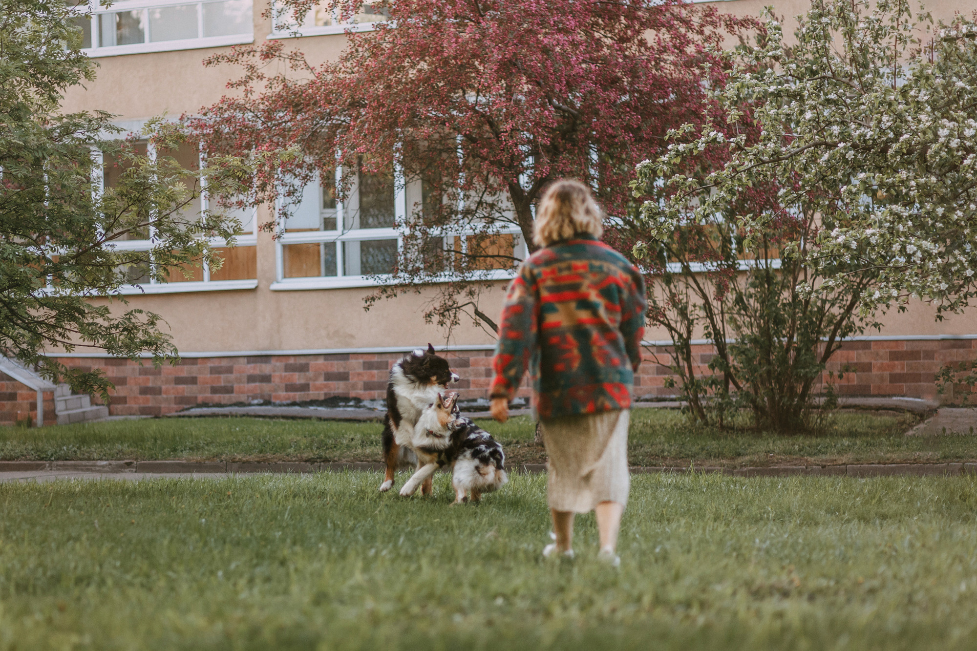 Анна, Чарли и Ева. Фотограф-анималист Елена Радченко, Москва