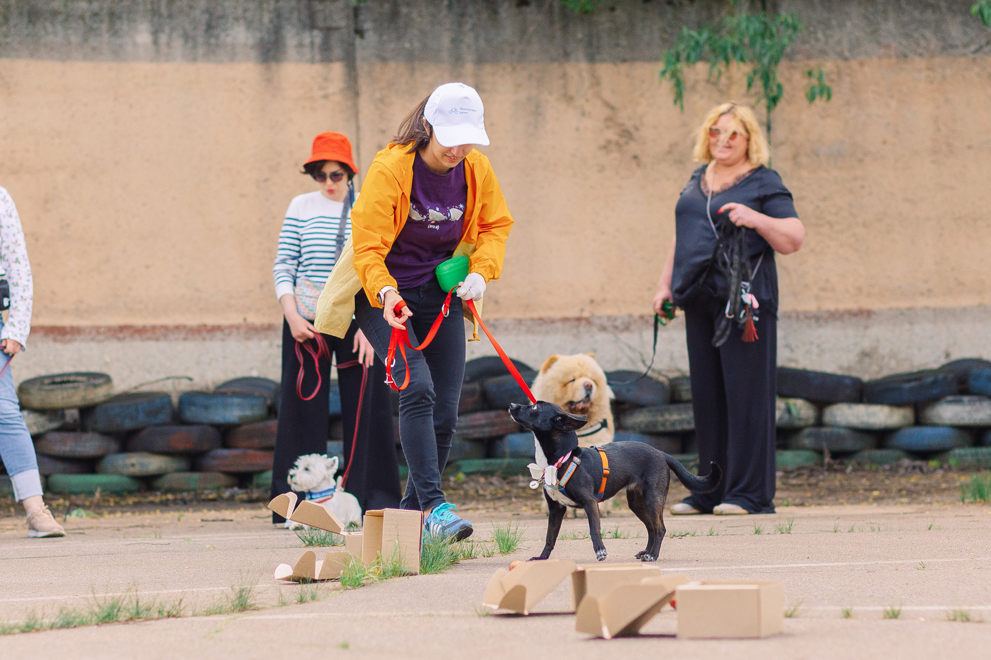 Дог-туса. Фотограф-анималист Елена Радченко, Москва