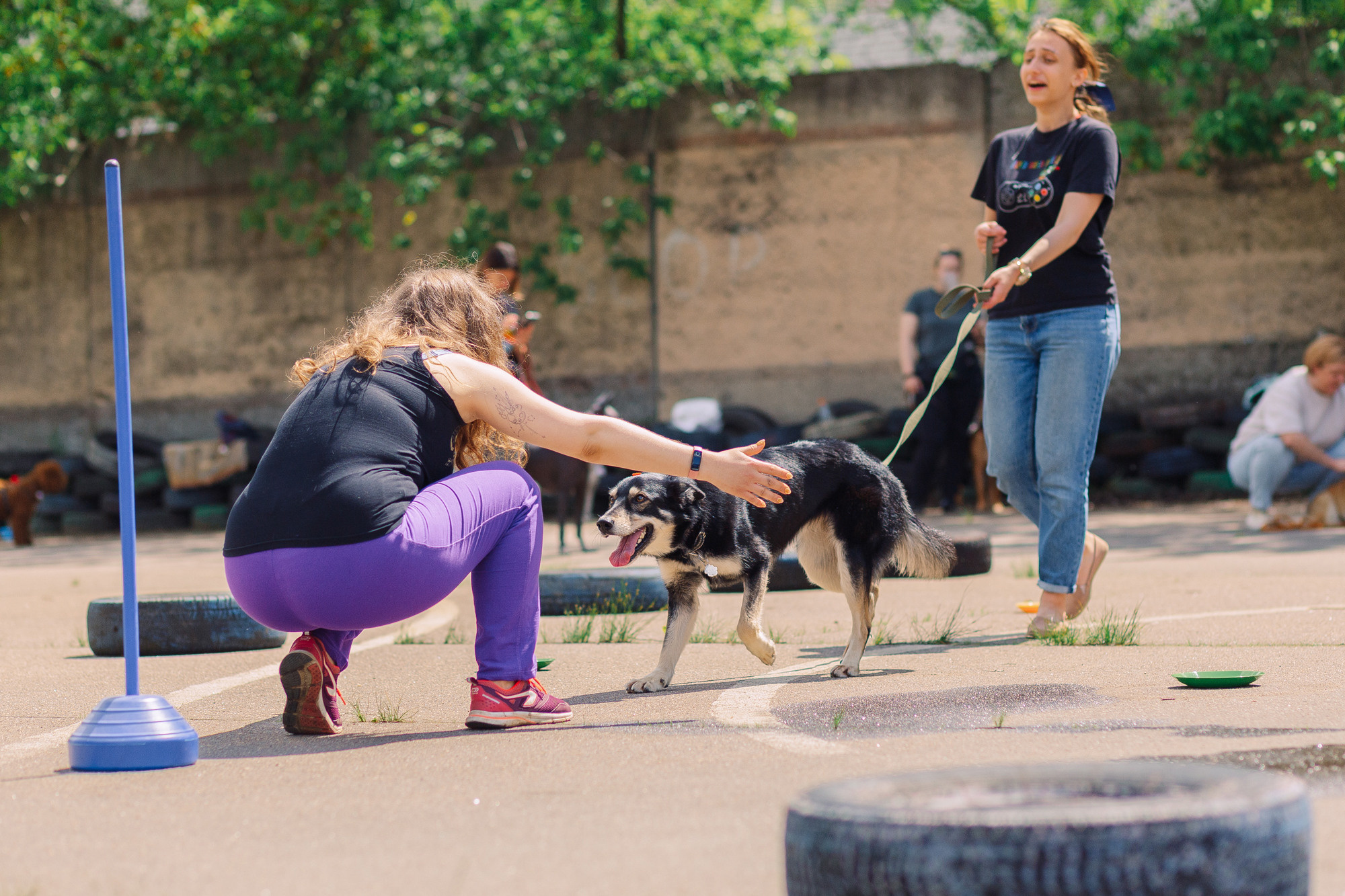 Дог-туса. Фотограф-анималист Елена Радченко, Москва