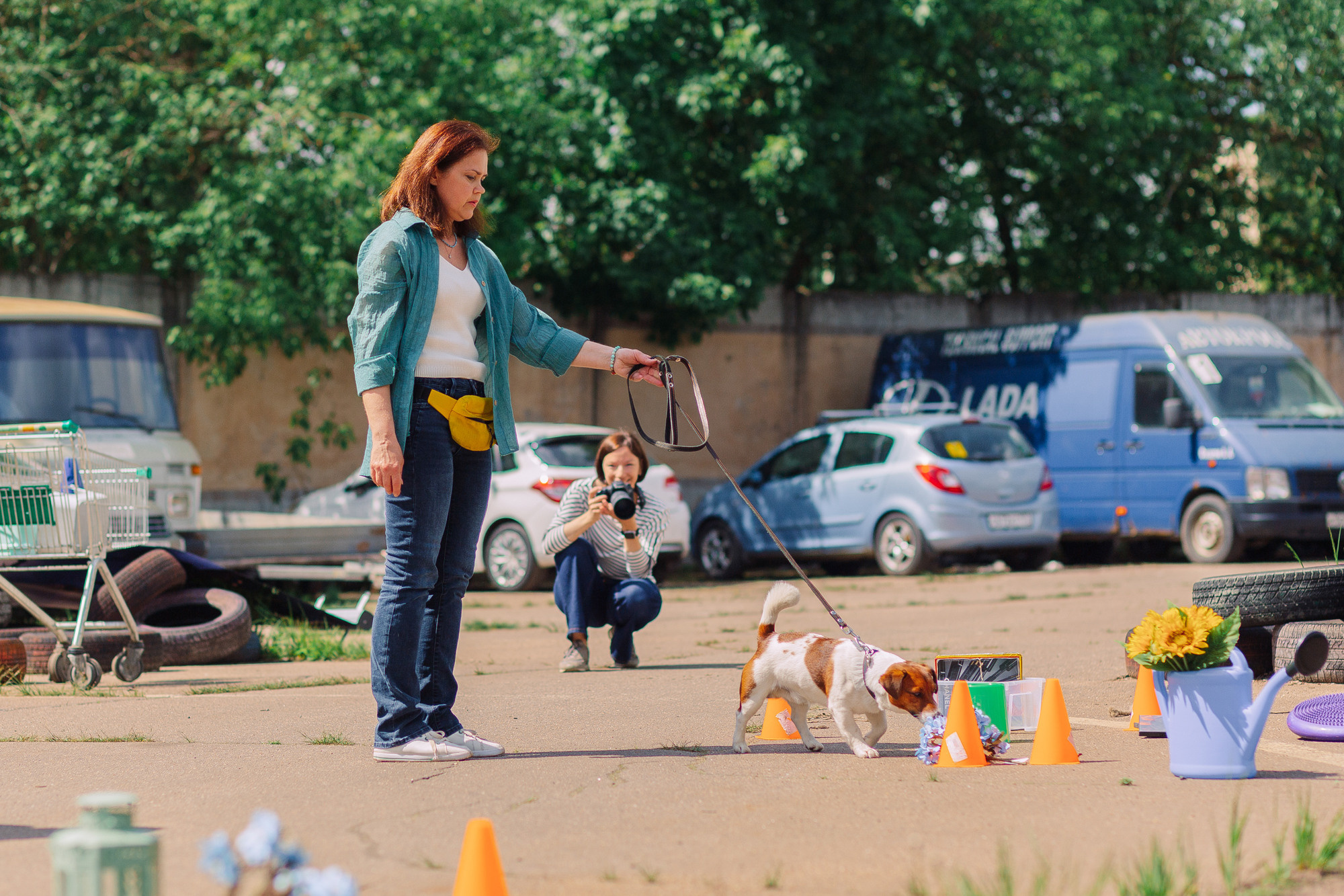 Дог-туса. Фотограф-анималист Елена Радченко, Москва