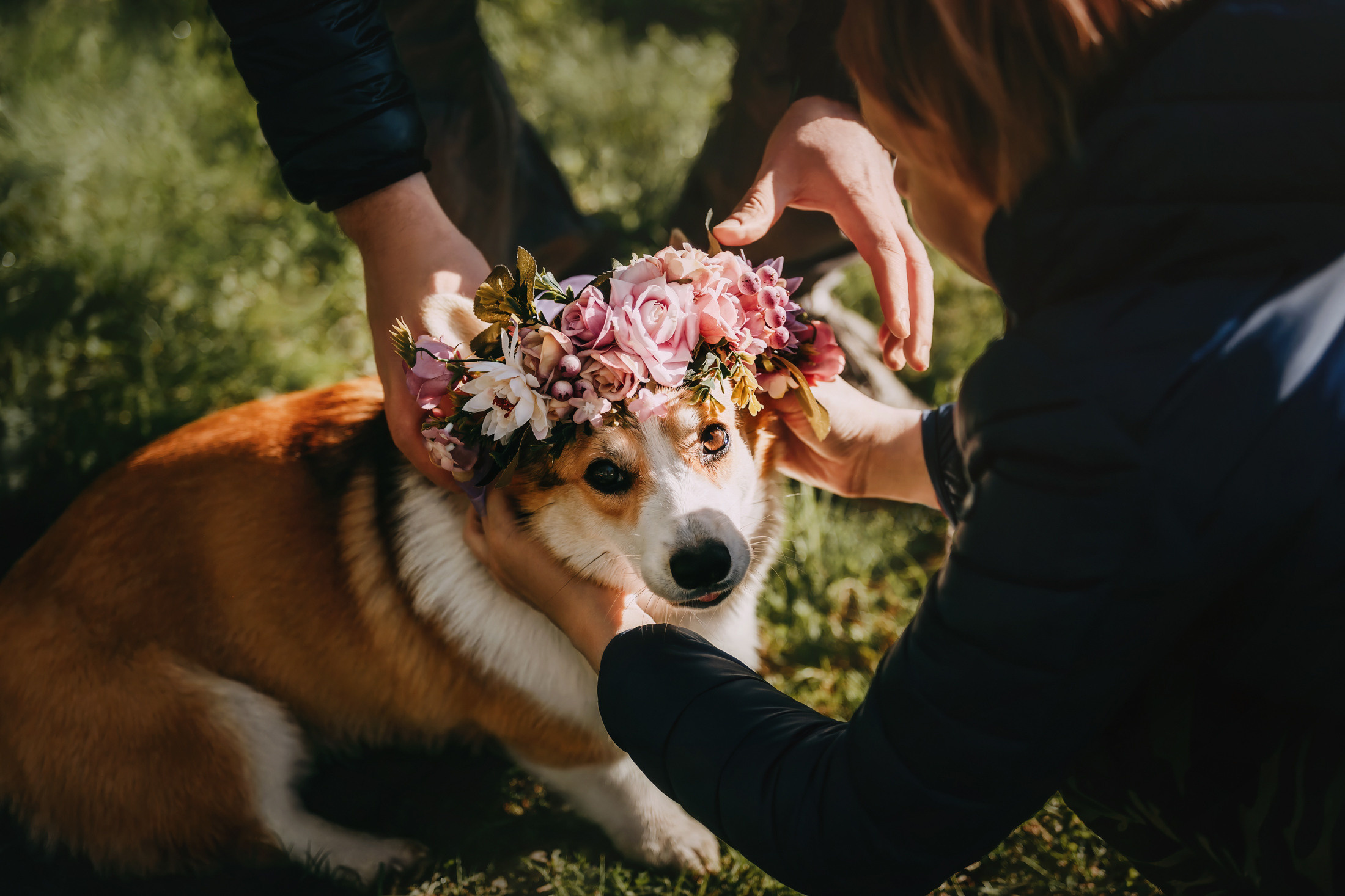 Вилла. Фотограф-анималист Елена Радченко, Москва