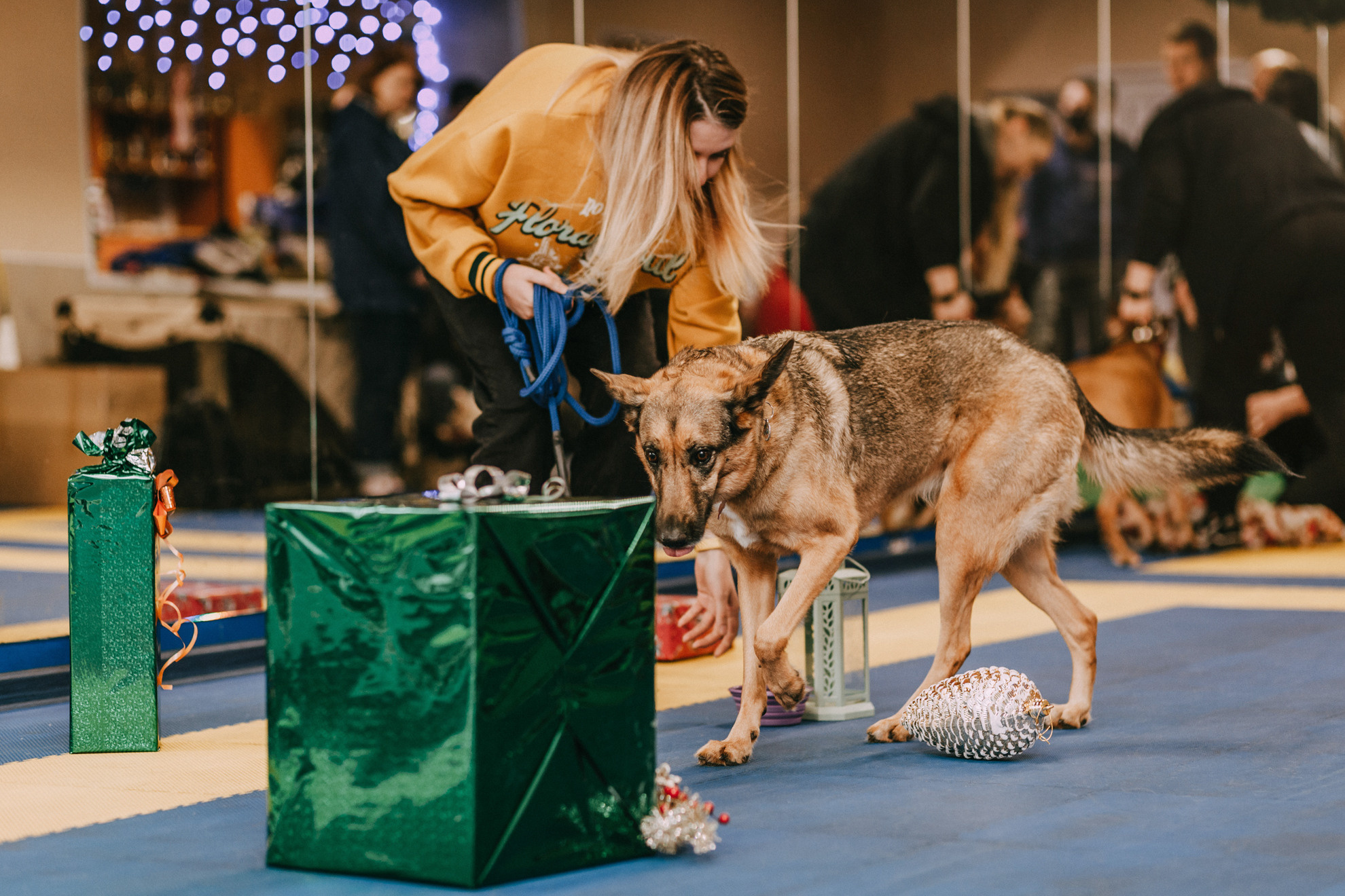 Собачий Новый год. Фотограф-анималист Елена Радченко, Москва