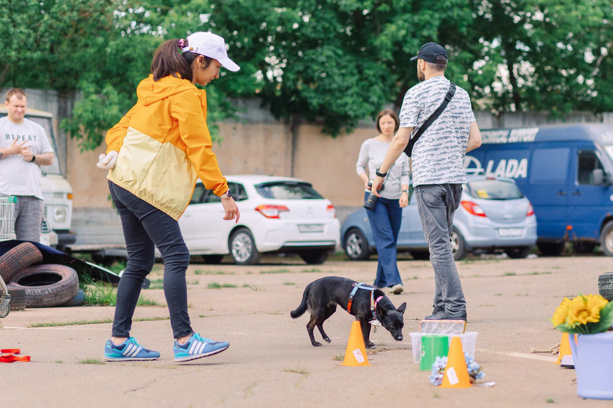 Дог-туса. Фотограф-анималист Елена Радченко, Москва