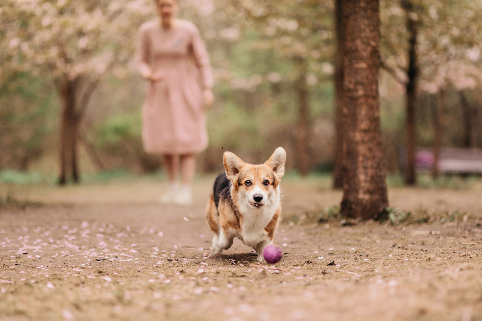 Анна, Рустам и Габи. Фотограф-анималист Елена Радченко, Москва