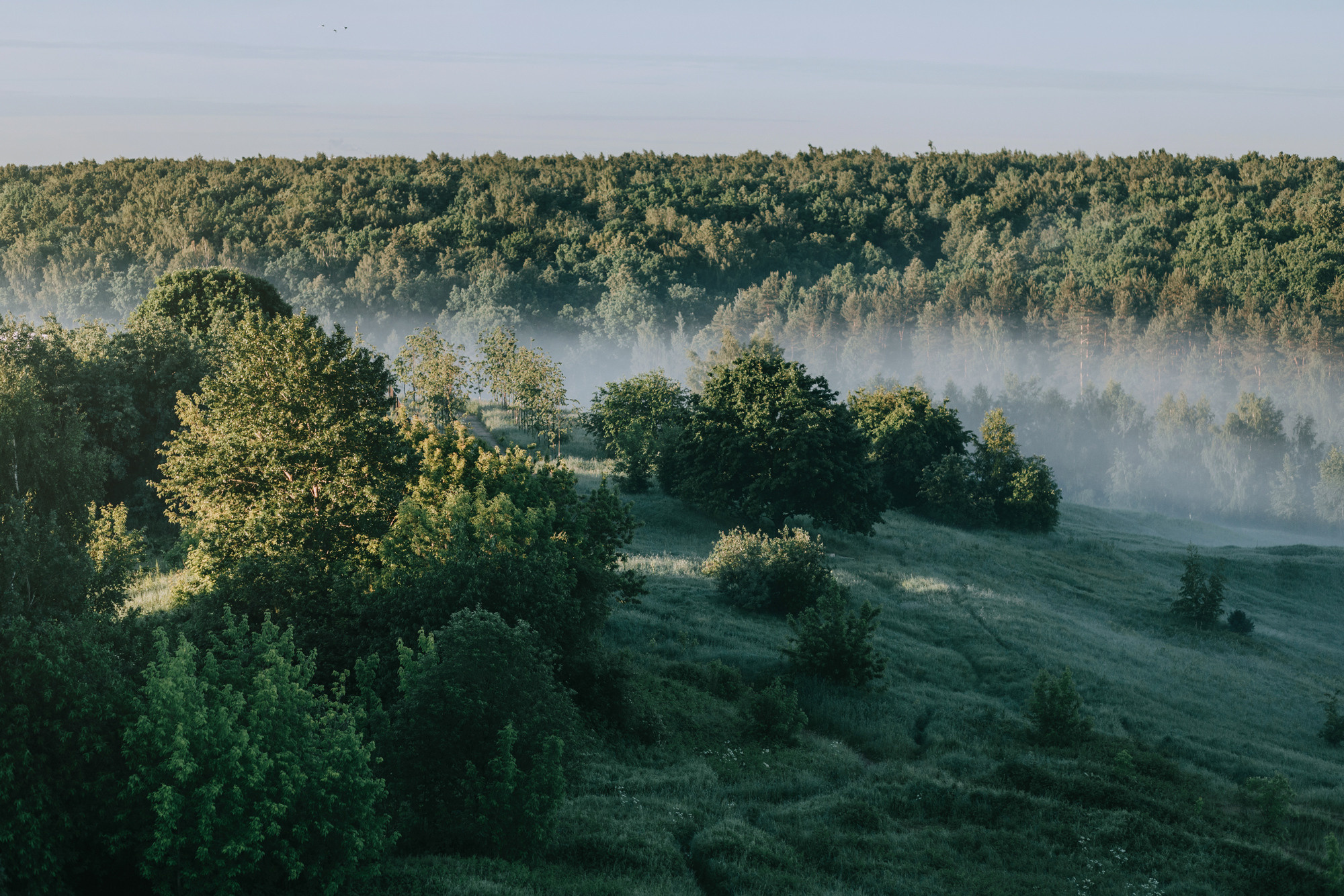 Лида и Яра. Фотограф-анималист Елена Радченко, Москва