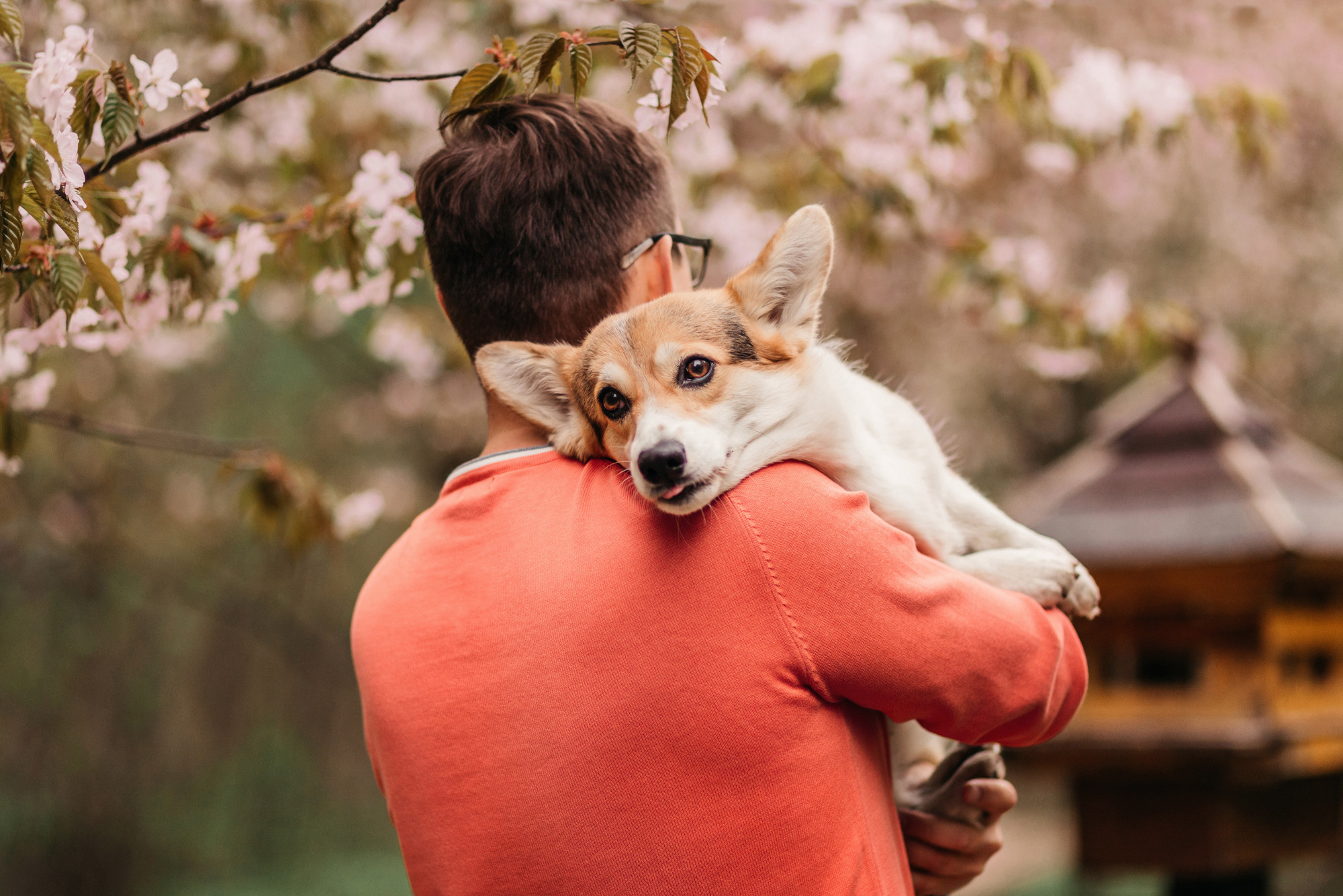 Анна, Рустам и Габи. Фотограф-анималист Елена Радченко, Москва