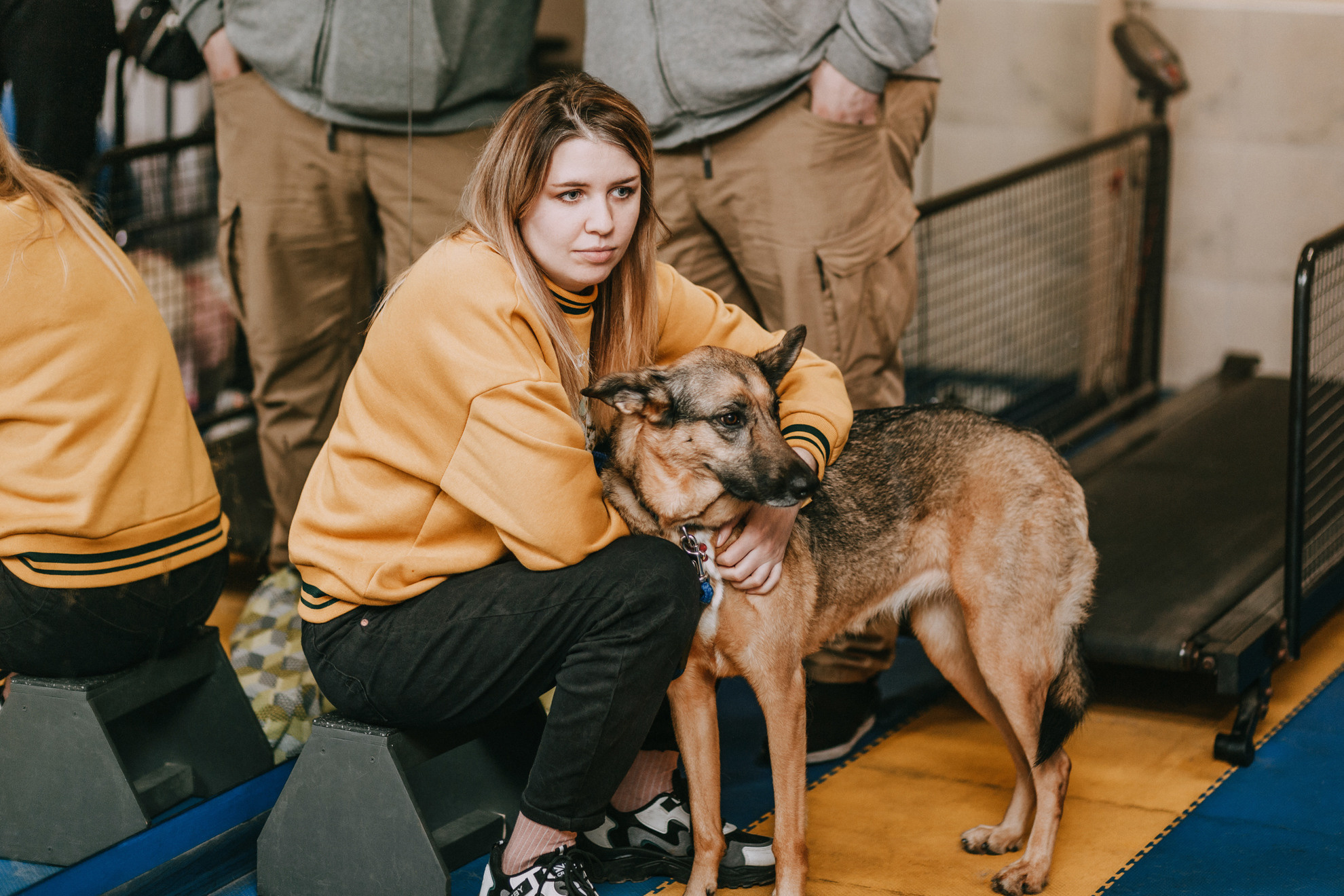 Собачий Новый год. Фотограф-анималист Елена Радченко, Москва