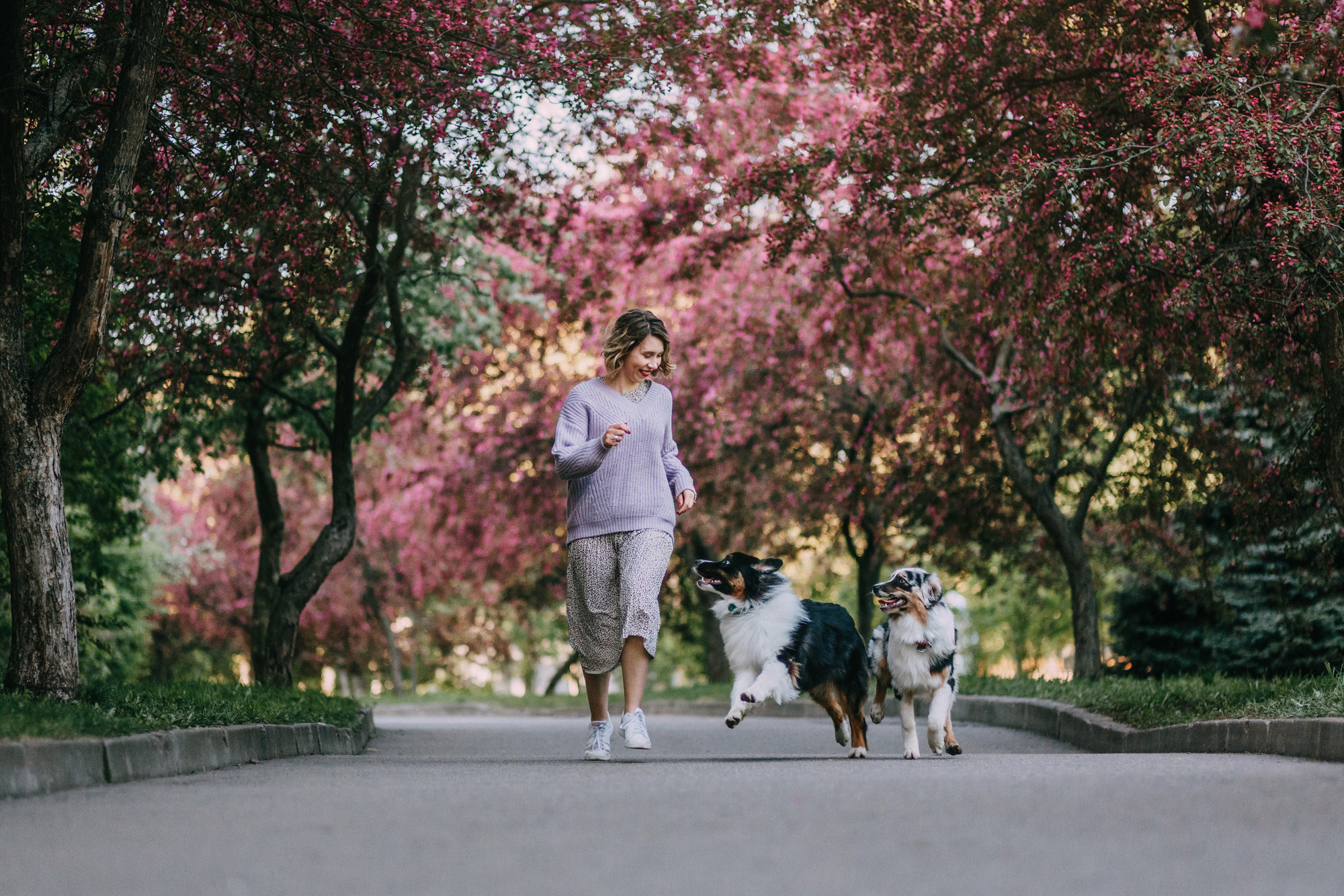 Анна, Чарли и Ева. Фотограф-анималист Елена Радченко, Москва