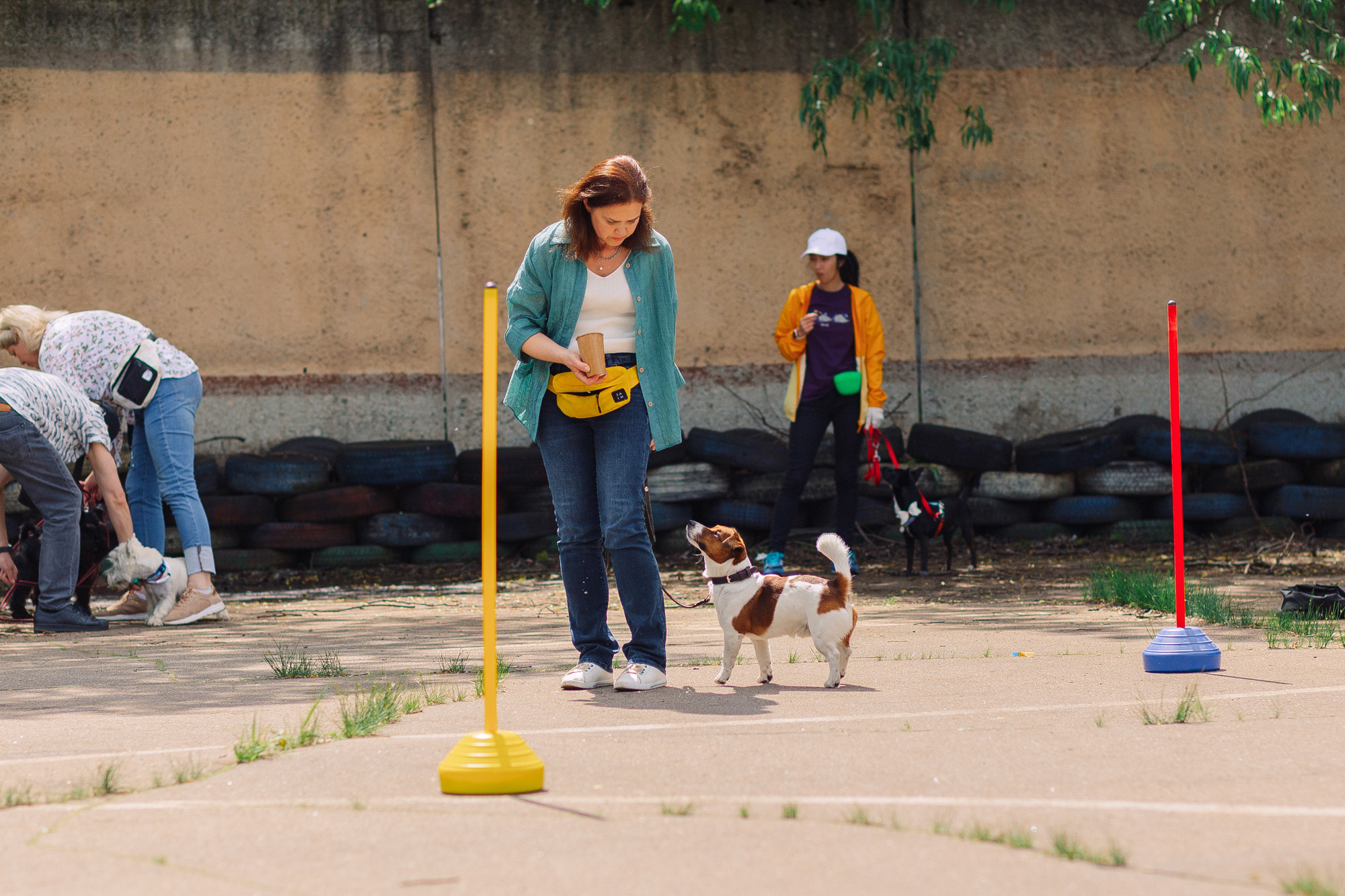 Дог-туса. Фотограф-анималист Елена Радченко, Москва