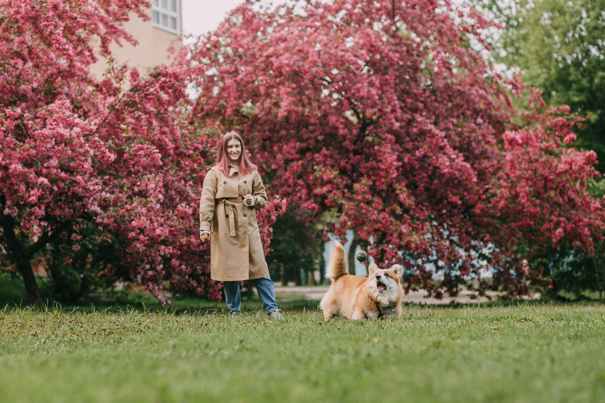 Анна и Филипп. Фотограф-анималист Елена Радченко, Москва