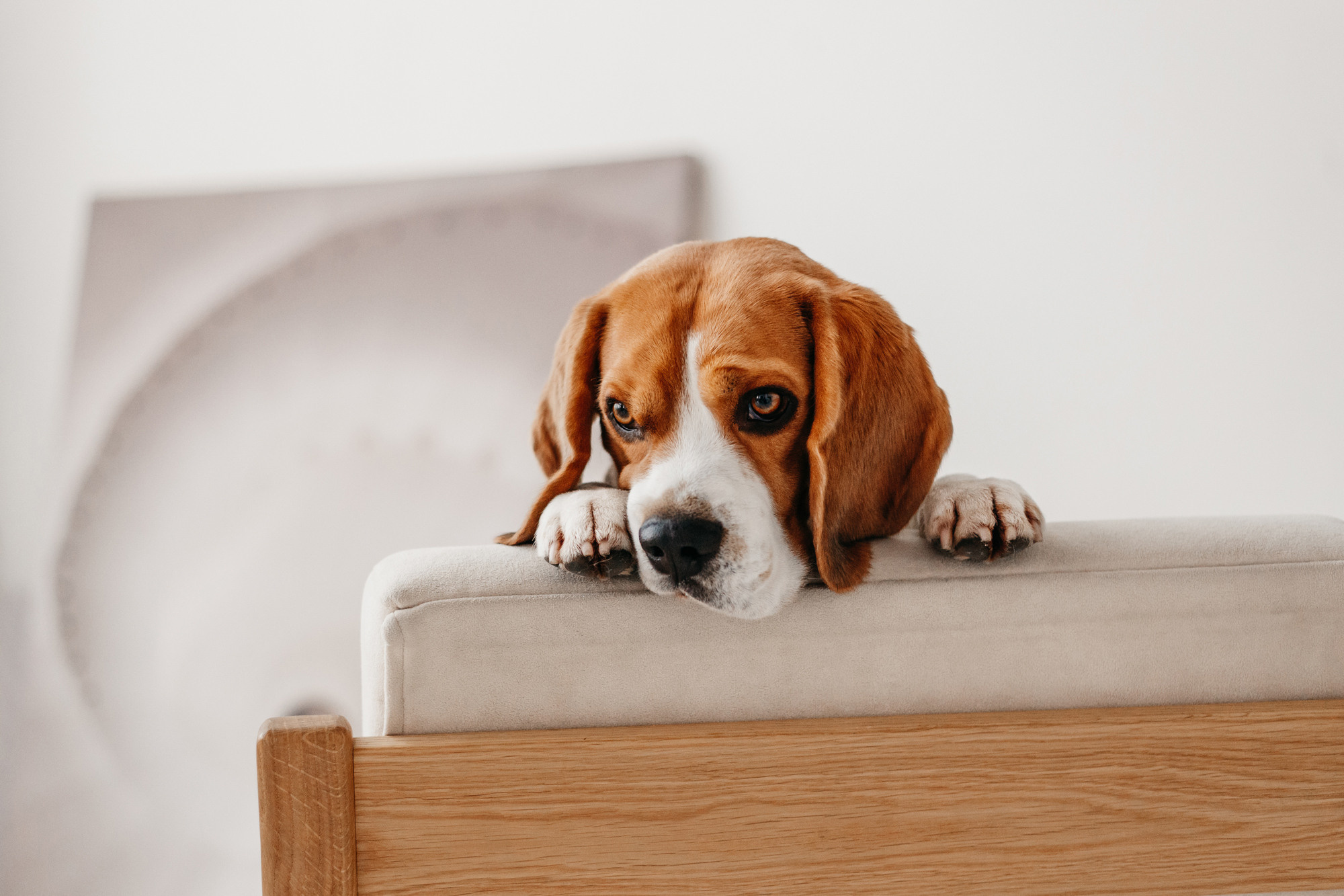 Фотодень 9 апреля. Фотограф-анималист Елена Радченко, Москва