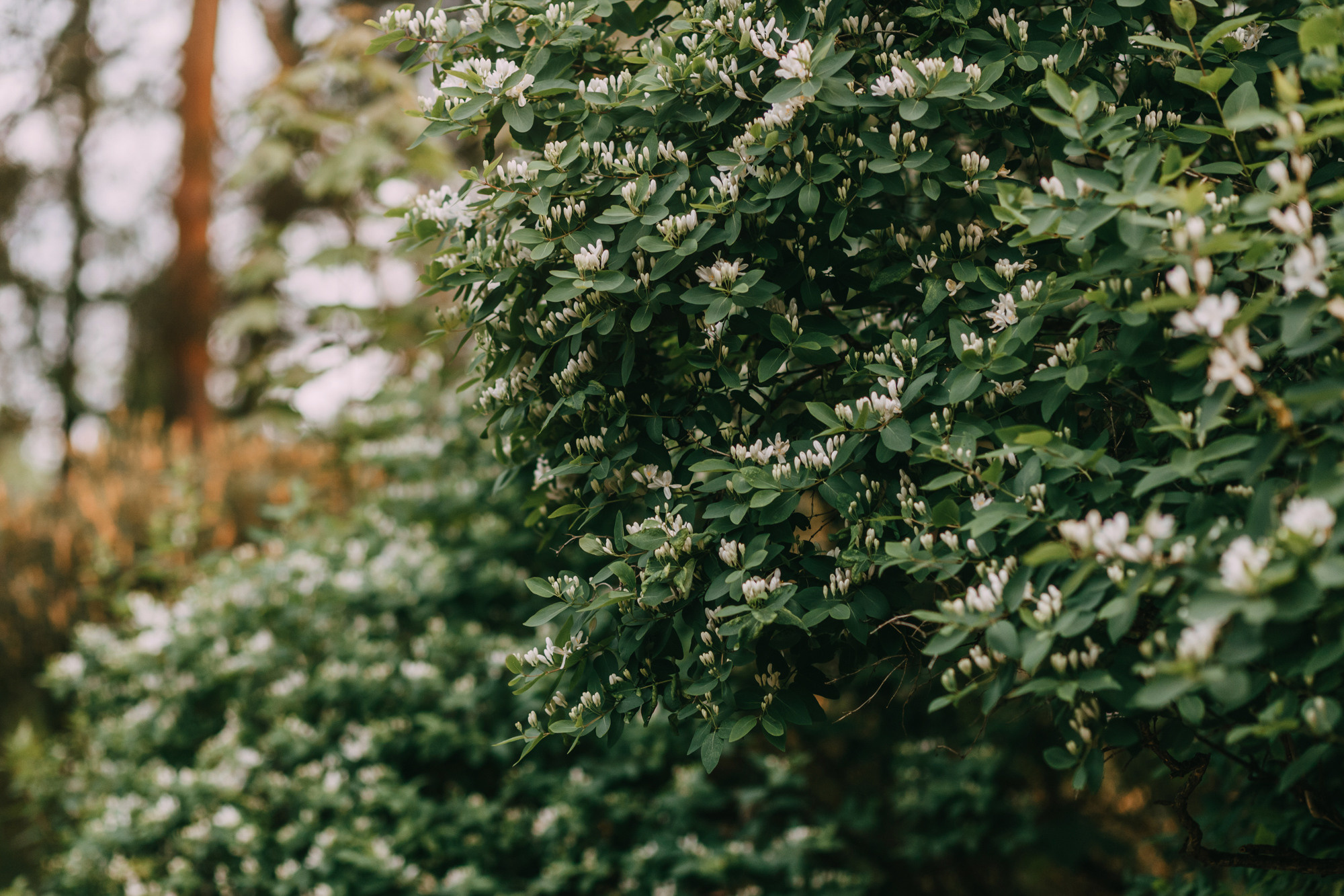Вика и Морти. Фотограф-анималист Елена Радченко, Москва
